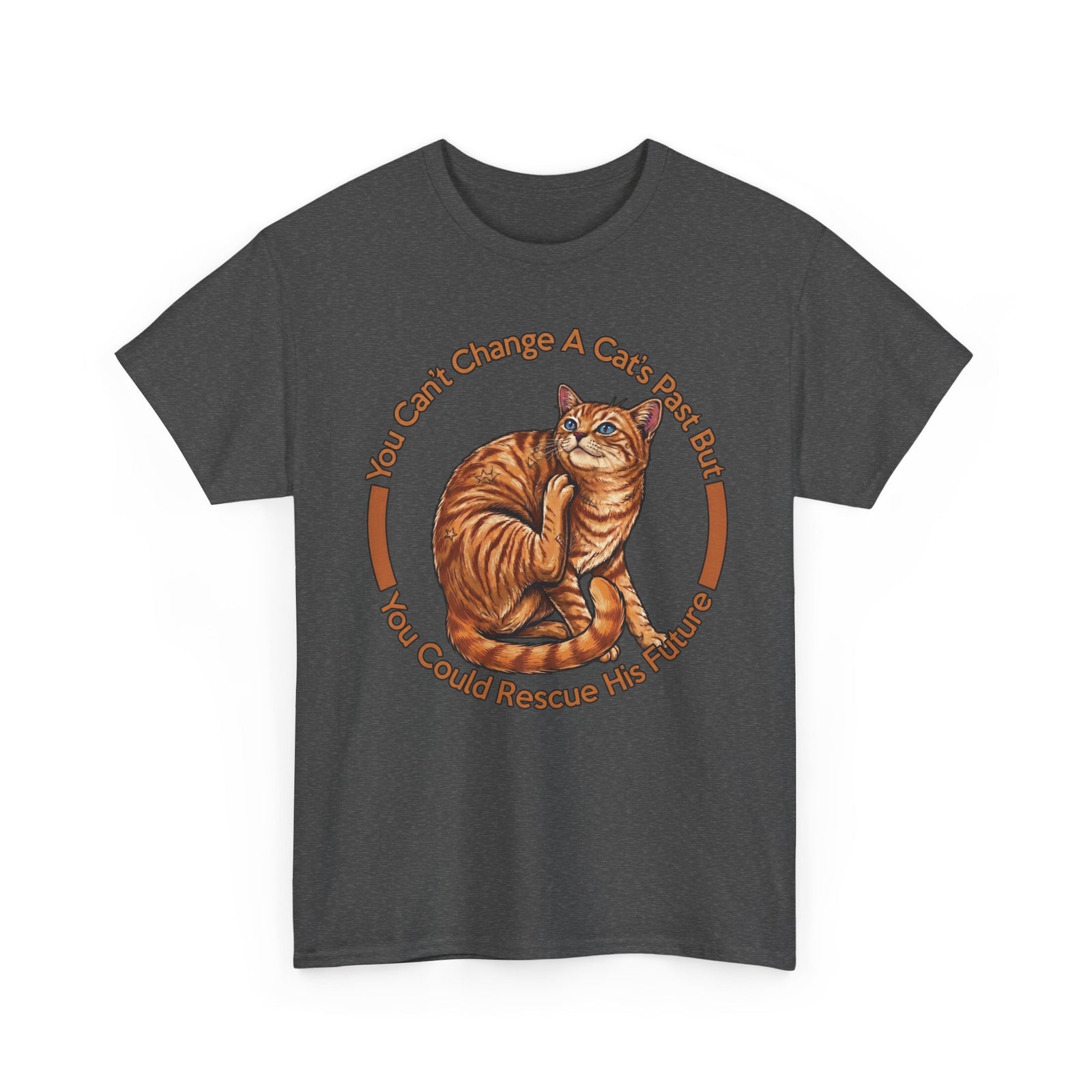 Rescue Cat T-Shirt — You Can't Change A Cat's Past Adoption Tee