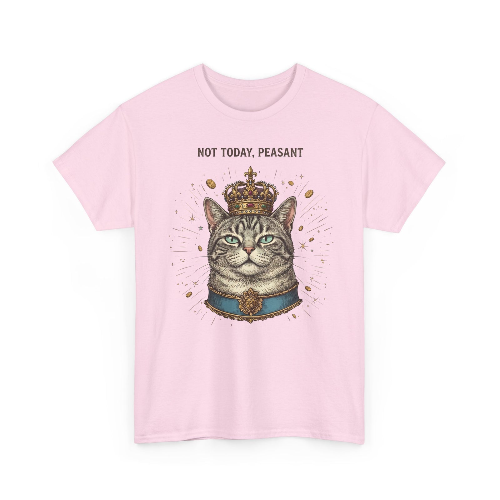 Funny Cat T-Shirt — "Not Today" Graphic Tee