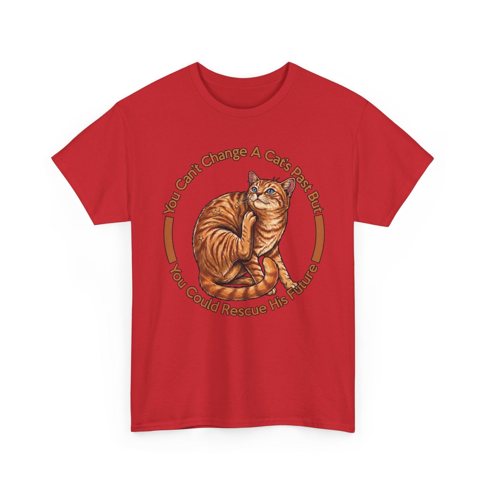 Rescue Cat T-Shirt — You Can't Change A Cat's Past Adoption Tee