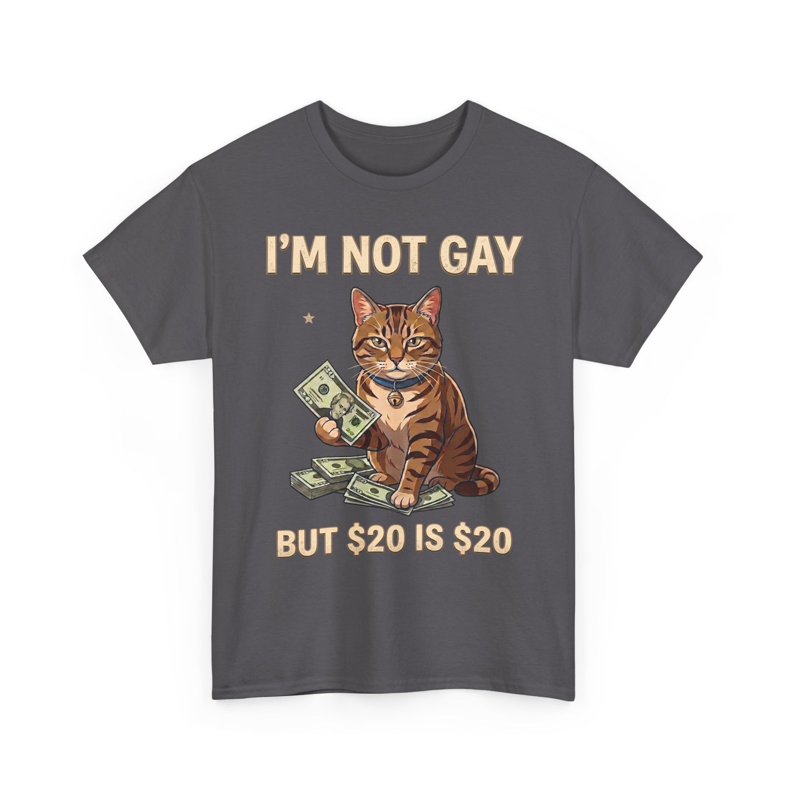 I'm Not Gay But $20 Is $20 T-Shirt — Funny Cat Cash Meme Tee