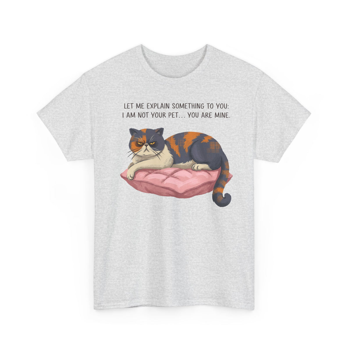 You Are Mine Cat T-Shirt — Grumpy Exotic Shorthair Calico Graphic Tee