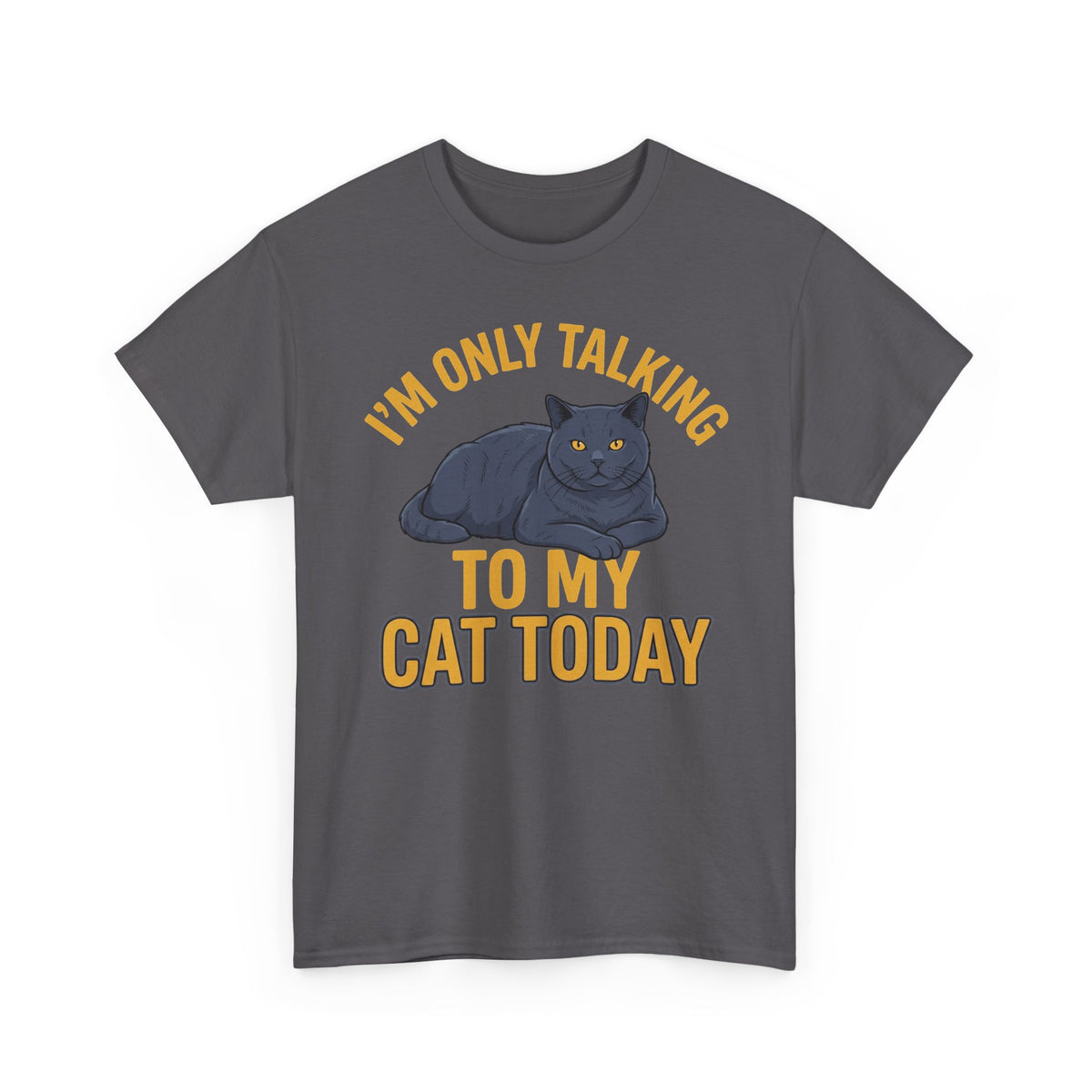 I'm Only Talking To My Cat Today T-Shirt