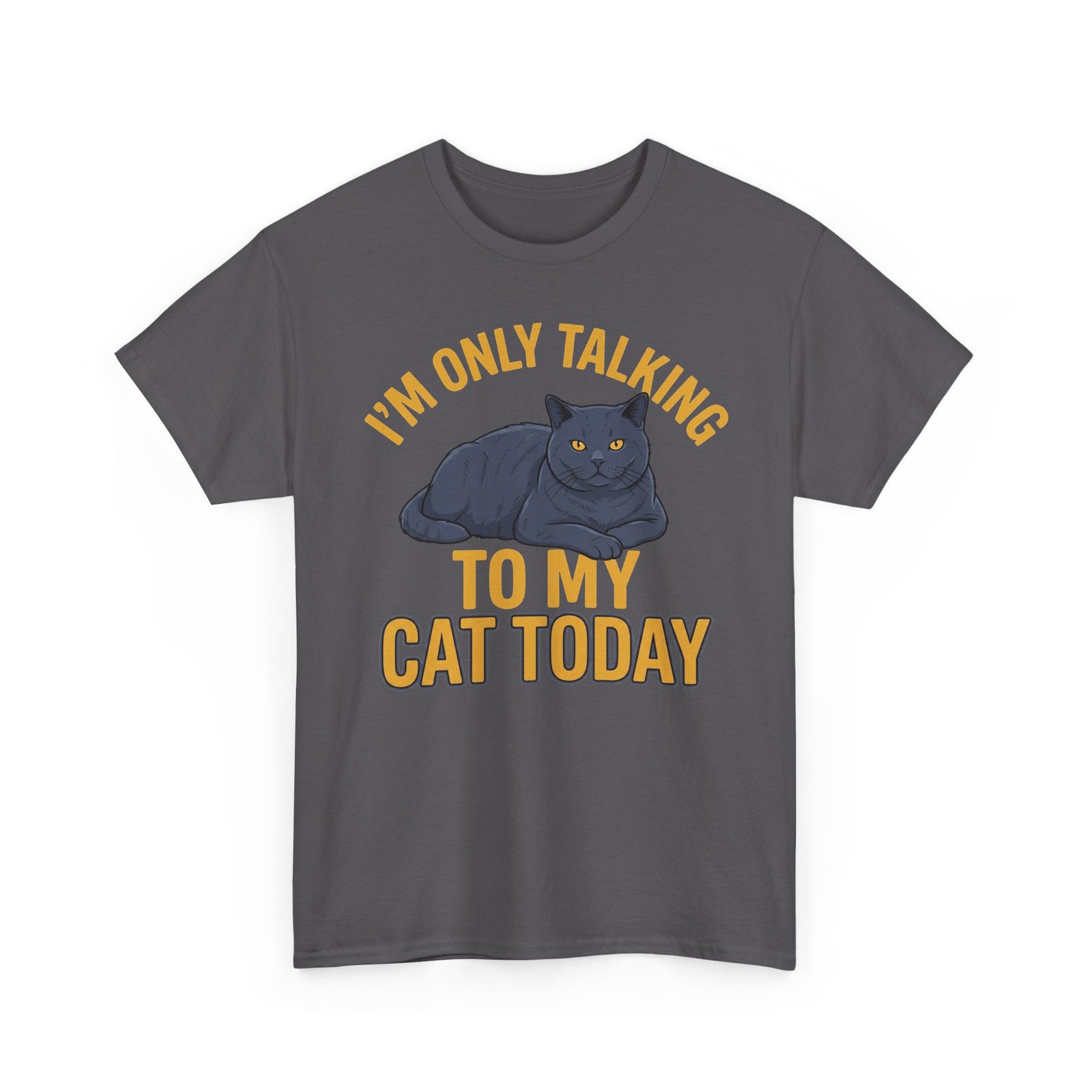 I'm Only Talking To My Cat Today T-Shirt