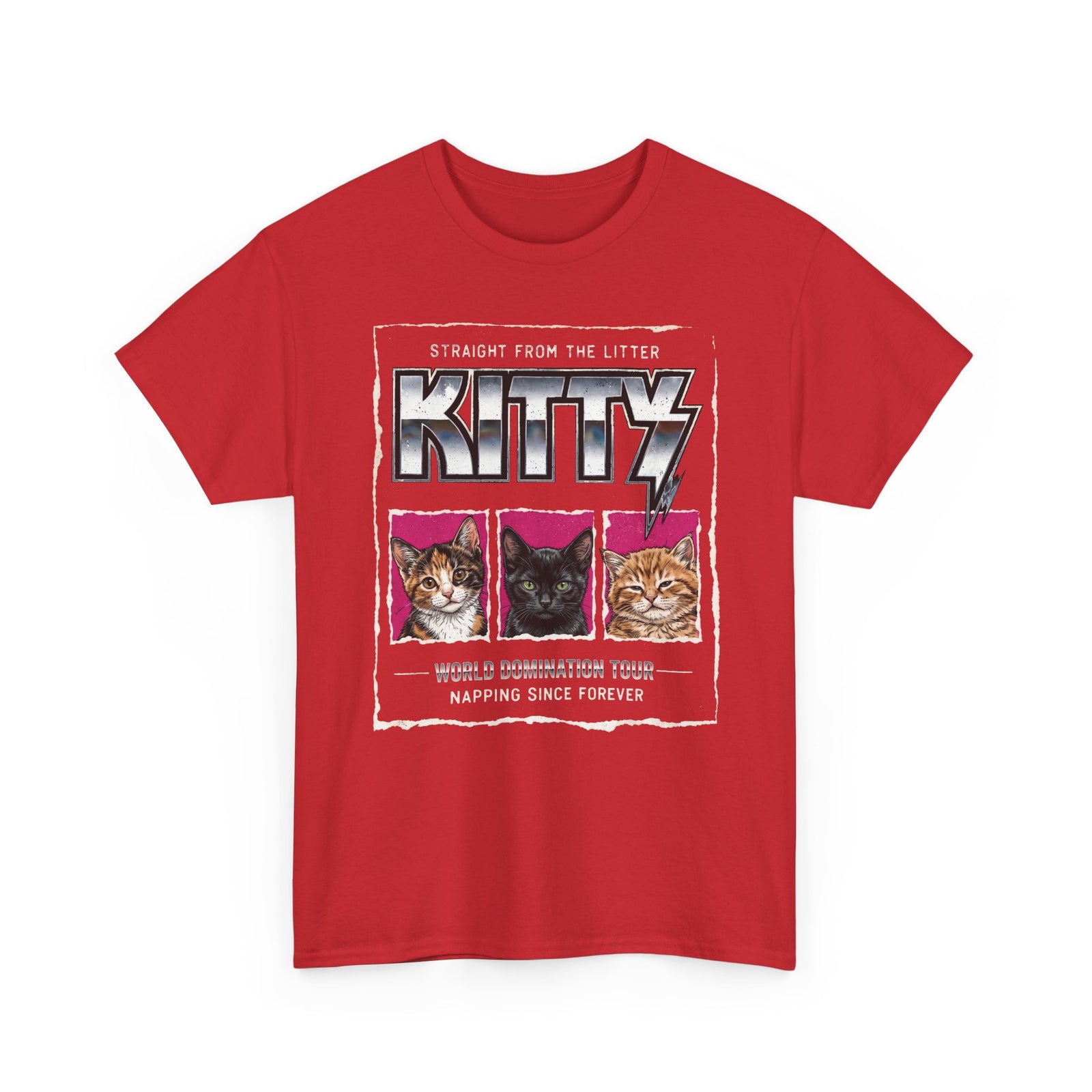 Straight From the Litter Kitty T-Shirt Funny Cat Lover Tee