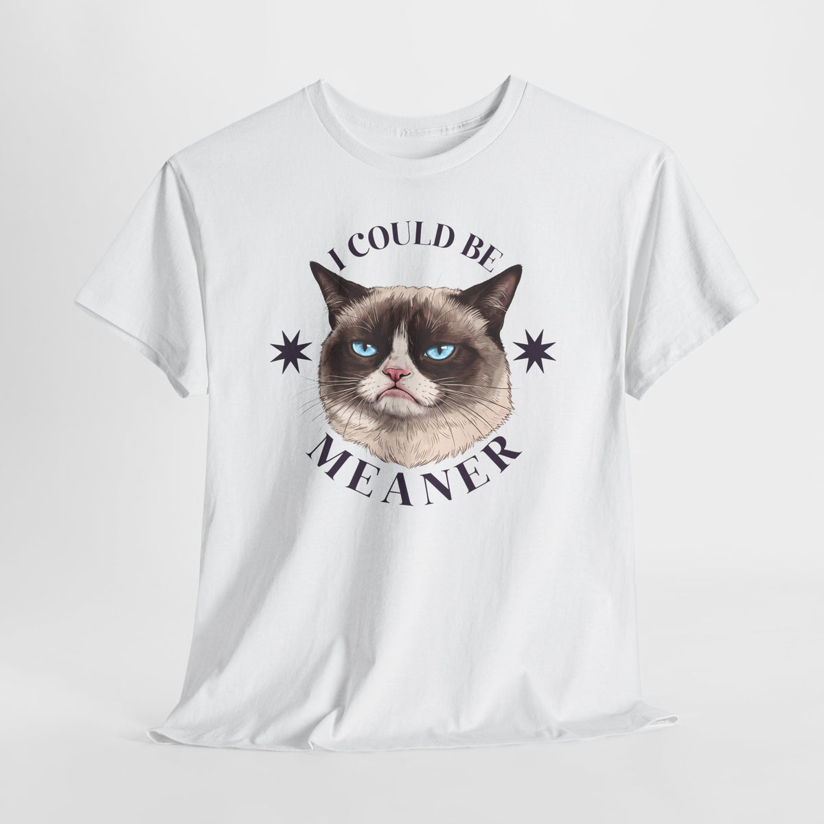I Could Be Meaner T-Shirt — Funny Grumpy Cat Graphic Tee