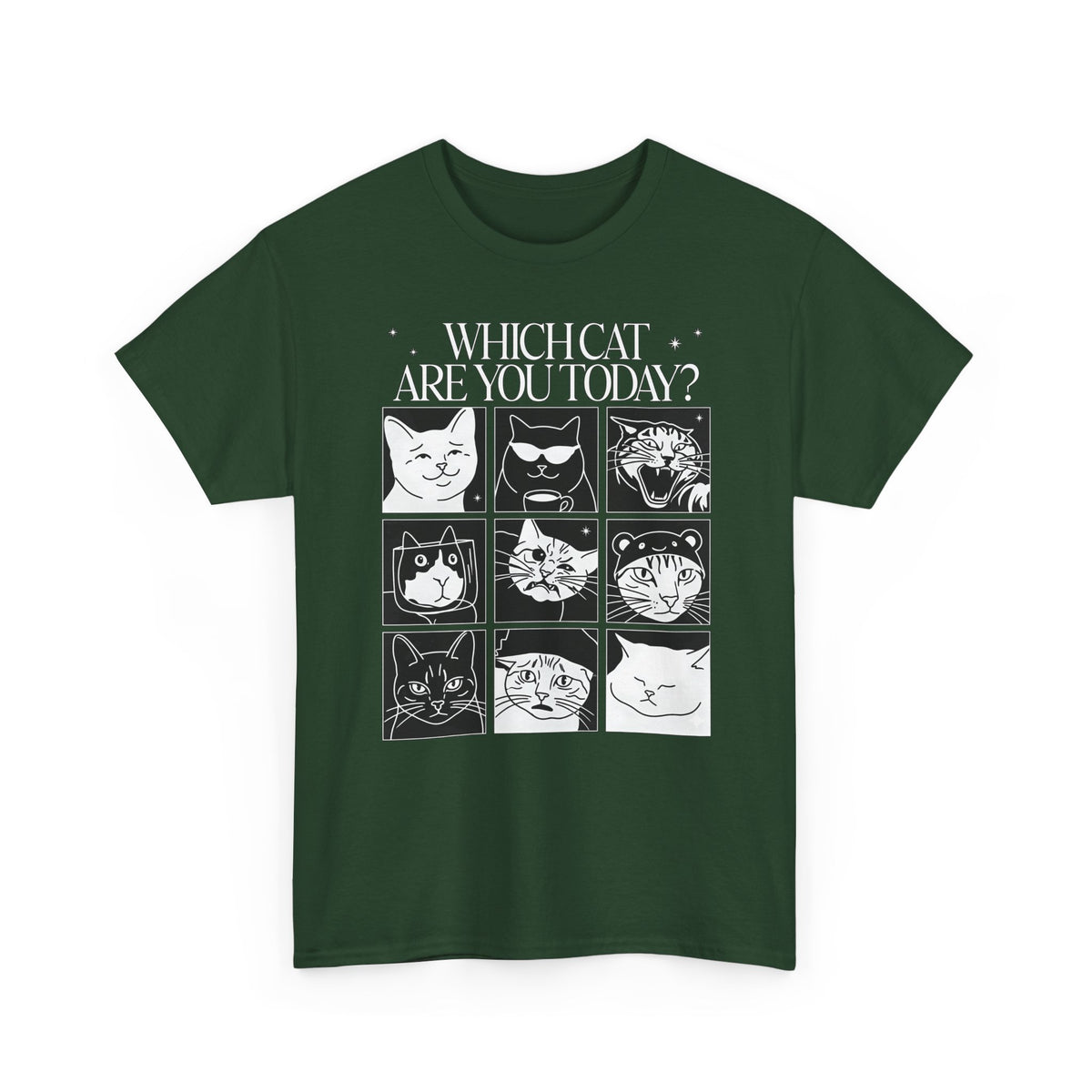 Which Cat You Choose Today T-Shirt — Playful Cat Lover Graphic Tee