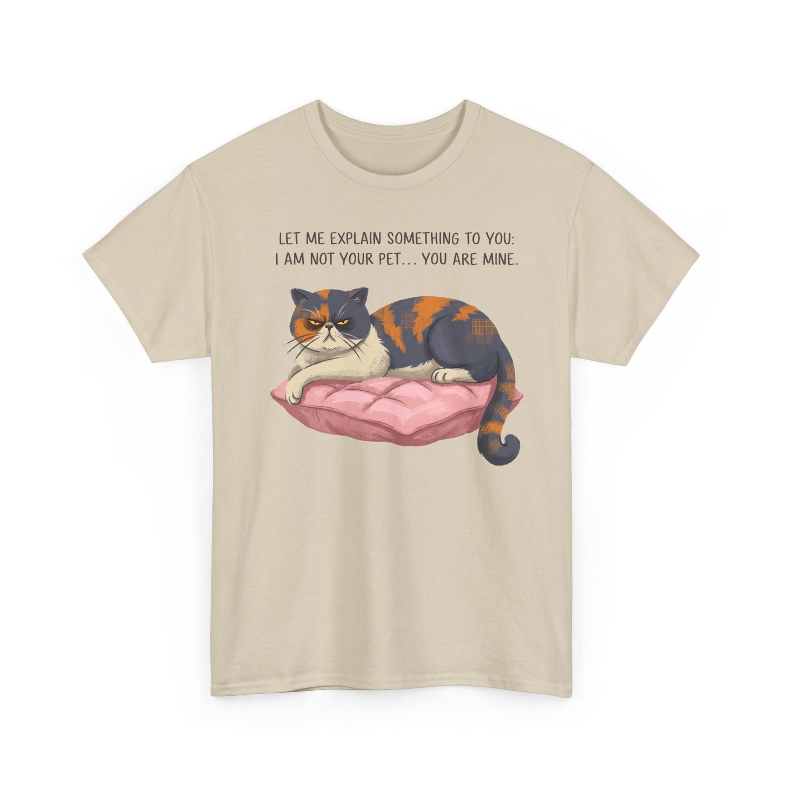 You Are Mine Cat T-Shirt — Grumpy Exotic Shorthair Calico Graphic Tee