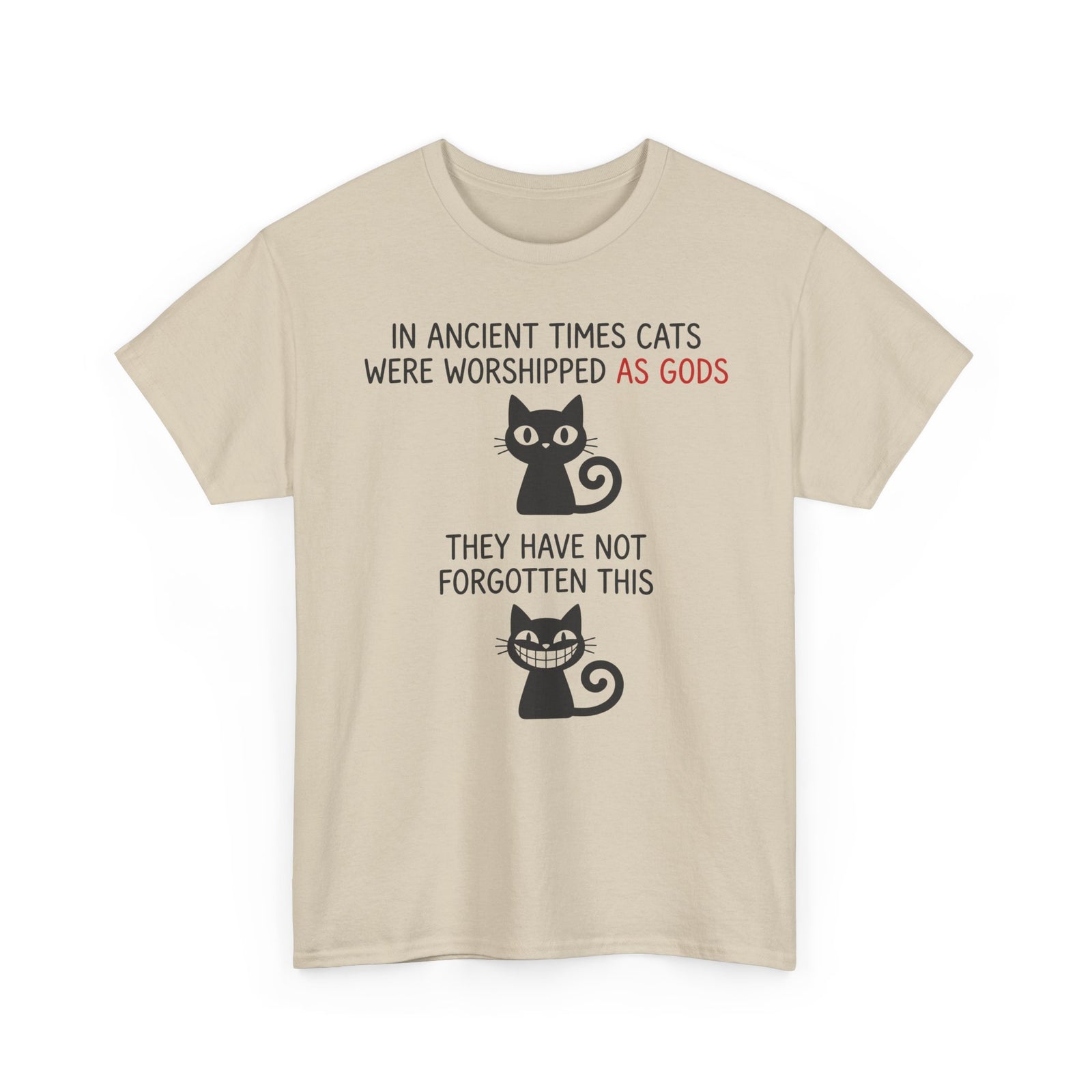 Cat Gods T-Shirt — "In Ancient Times Cats Were Worshipped As Gods" Funny Cat Tee