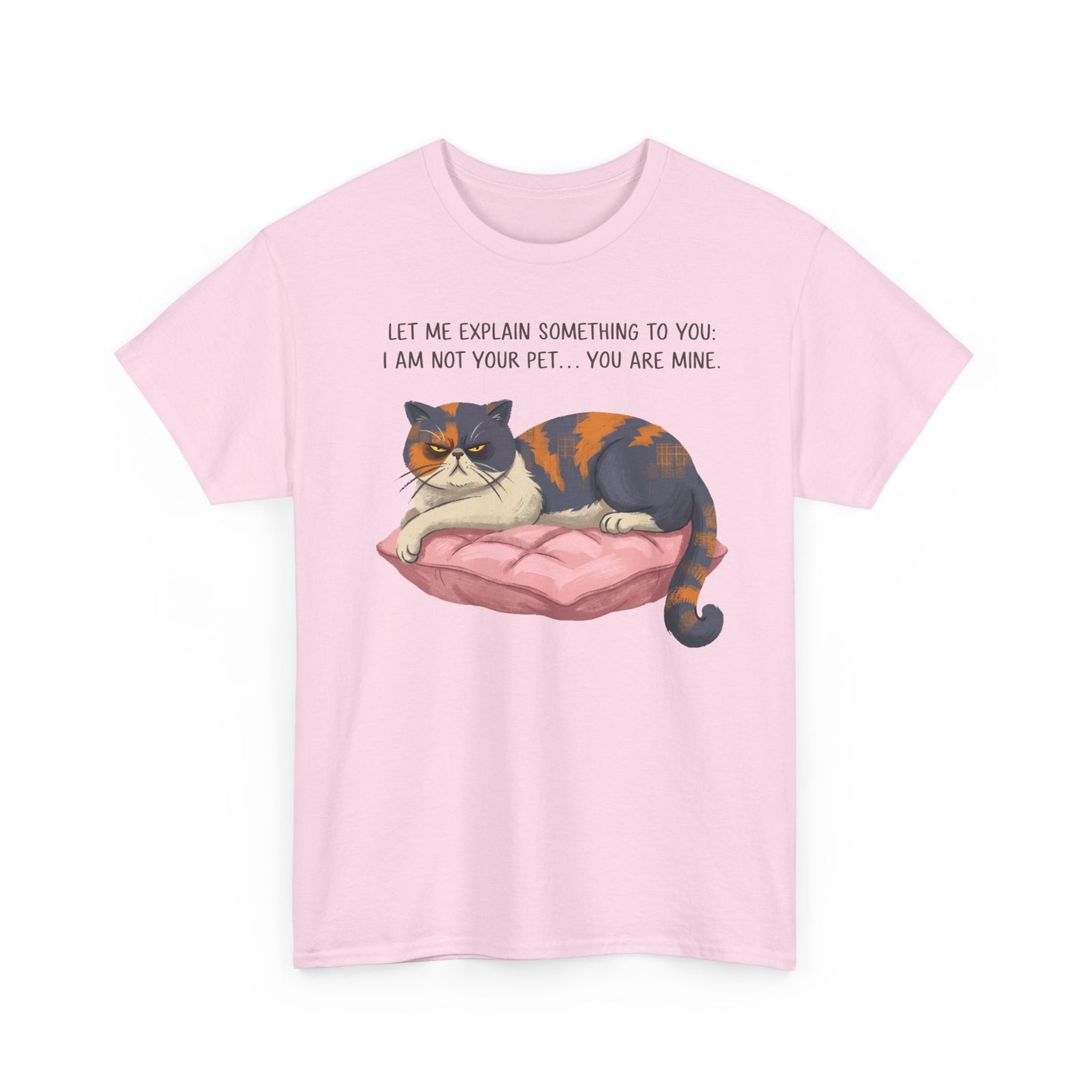 You Are Mine Cat T-Shirt — Grumpy Exotic Shorthair Calico Graphic Tee