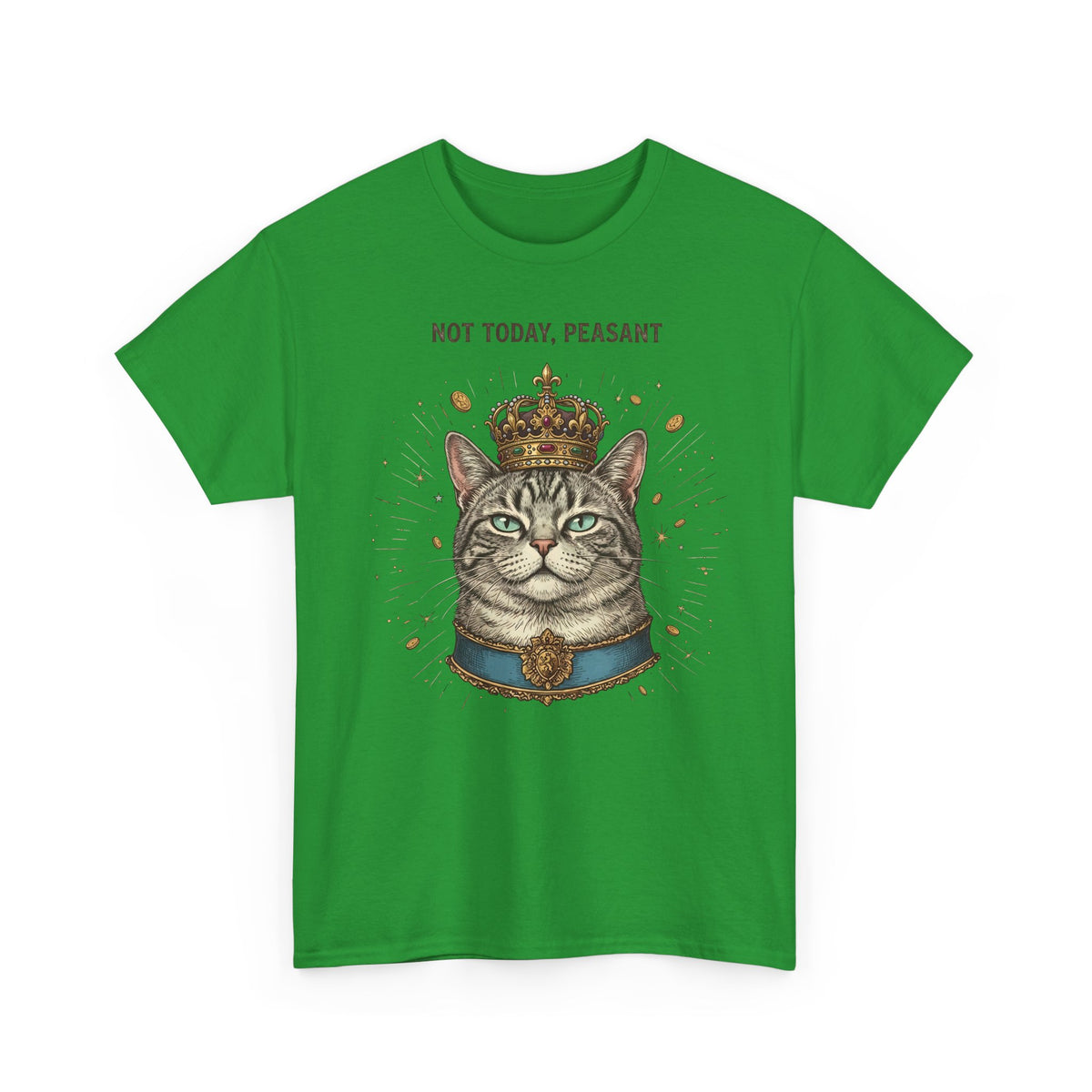 Funny Cat T-Shirt — "Not Today" Graphic Tee