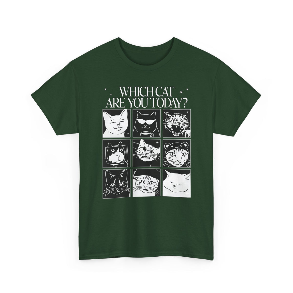 Which Cat You Choose Today T-Shirt — Playful Cat Lover Graphic Tee