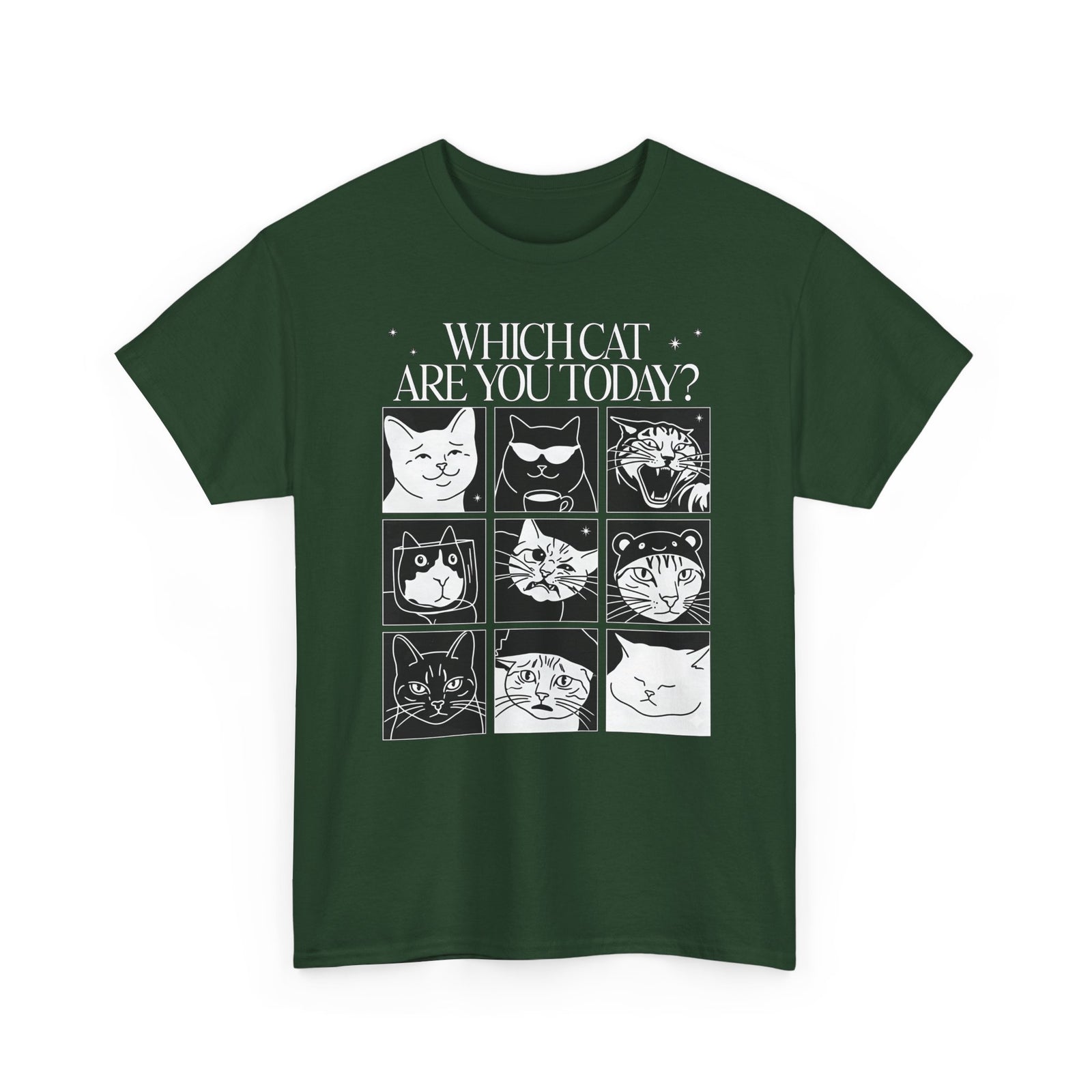 Which Cat You Choose Today T-Shirt — Playful Cat Lover Graphic Tee