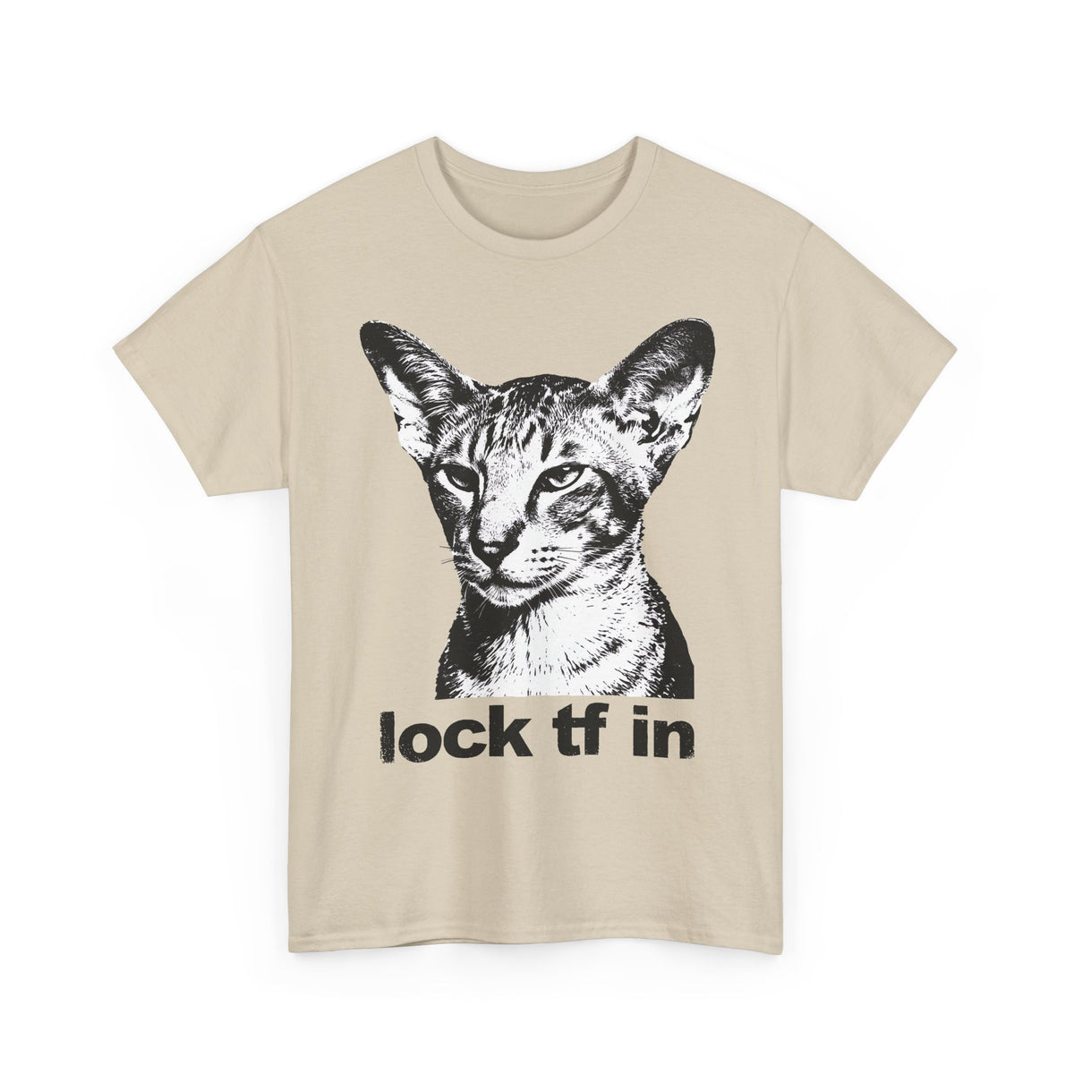 Cat Graphic Tee — "lock tf in" Retro Sphynx Illustration