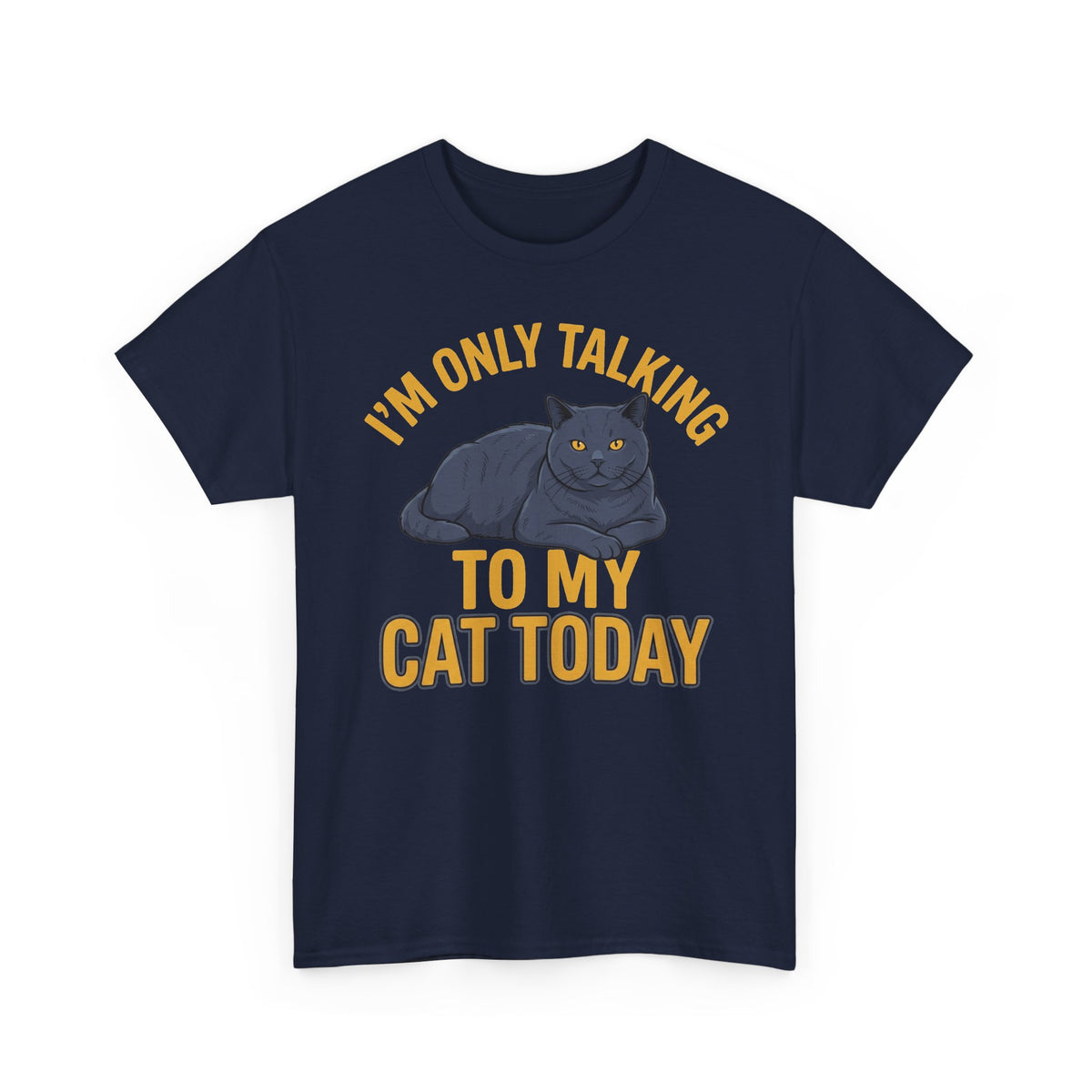 I'm Only Talking To My Cat Today T-Shirt