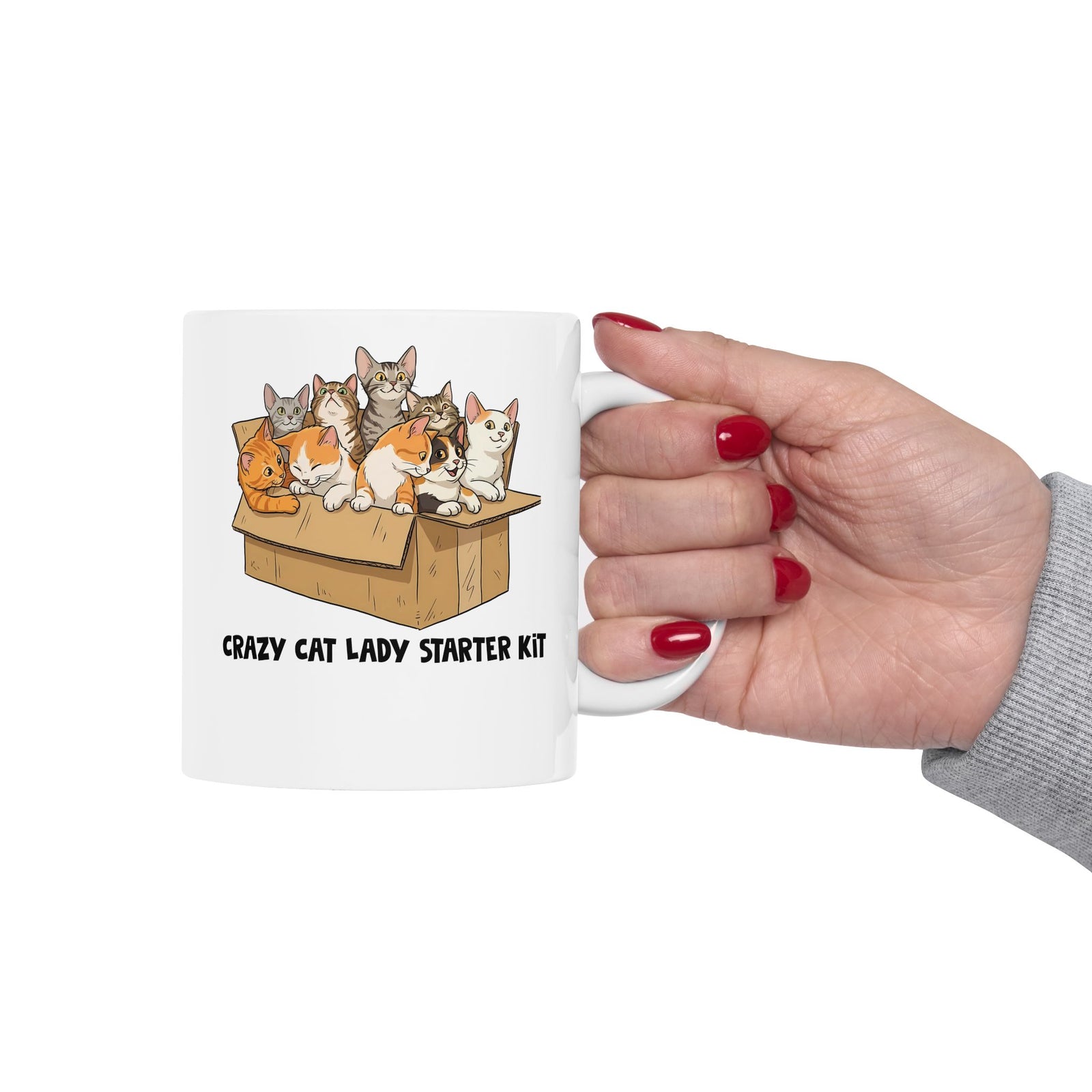 Crazy Cat Lady Starter Kit Ceramic Mug
