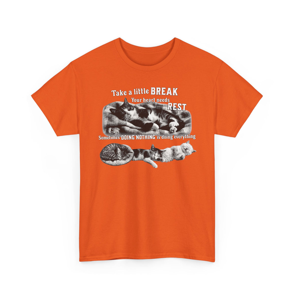 Sometimes Doing Nothing Is Doing Everything Cat Tee — Take A Little Break Shirt