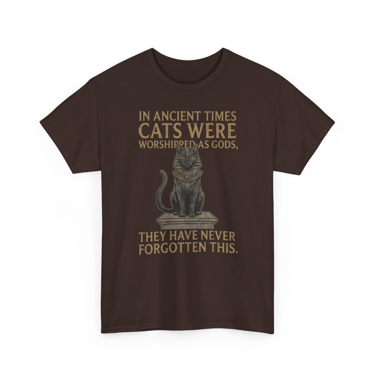 In Ancient Times Cats Were Worshipped Gods T-Shirt