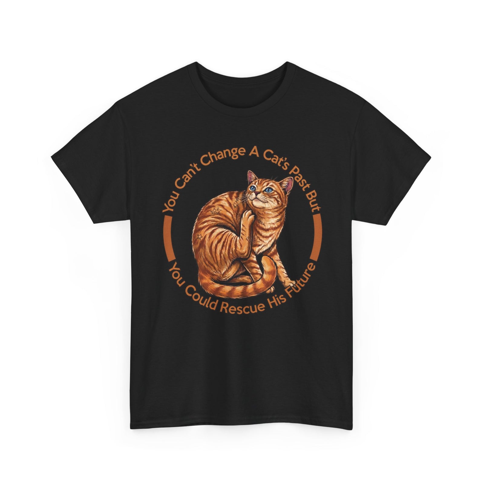 Rescue Cat T-Shirt — You Can't Change A Cat's Past Adoption Tee