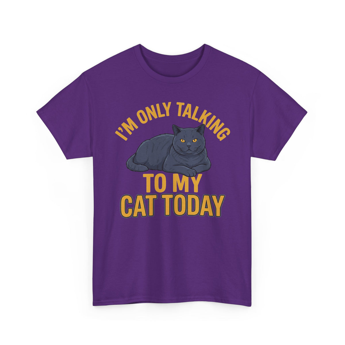 I'm Only Talking To My Cat Today T-Shirt