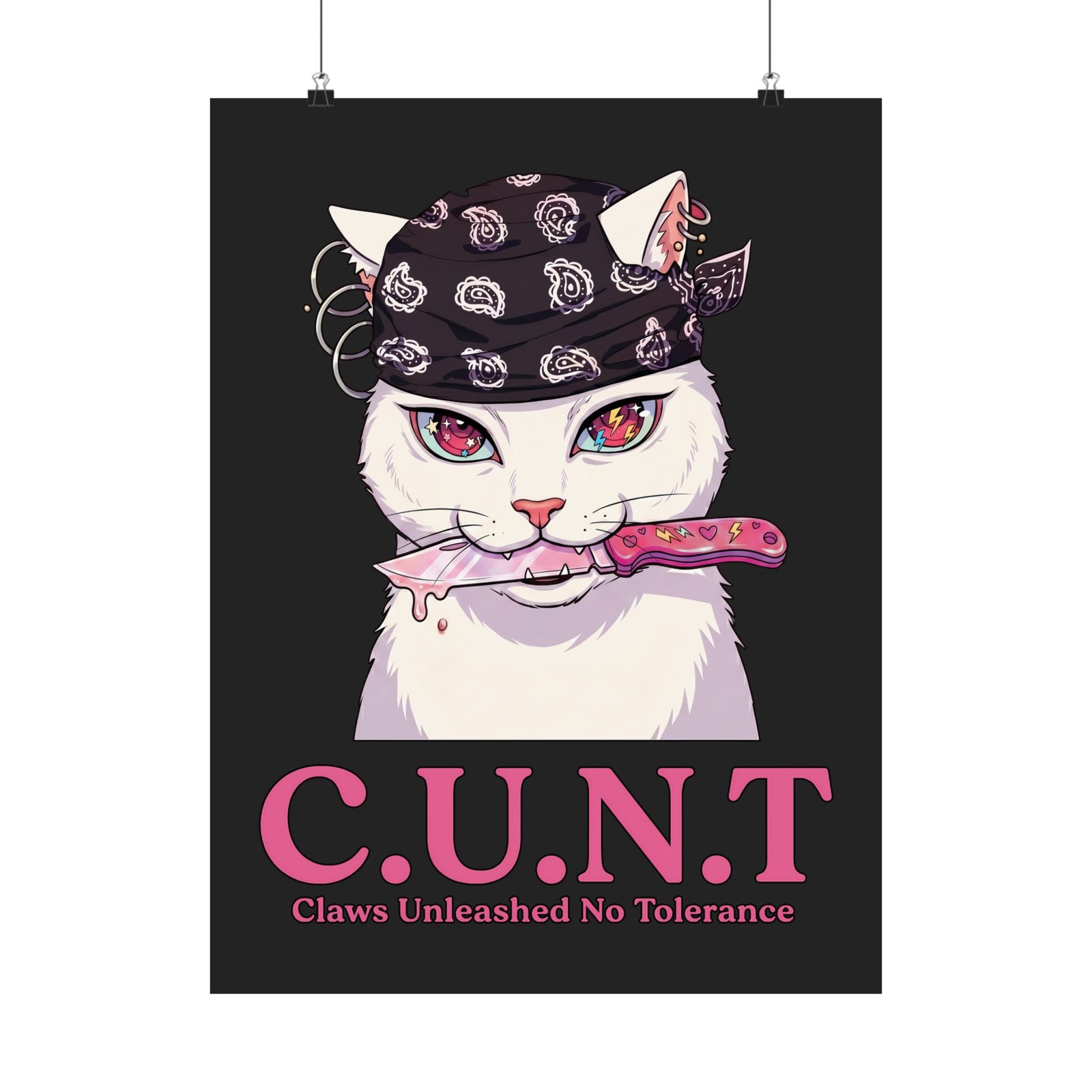 C.U.N.T Acronym Cat Poster — Sassy Feline Rebellious Streetwear