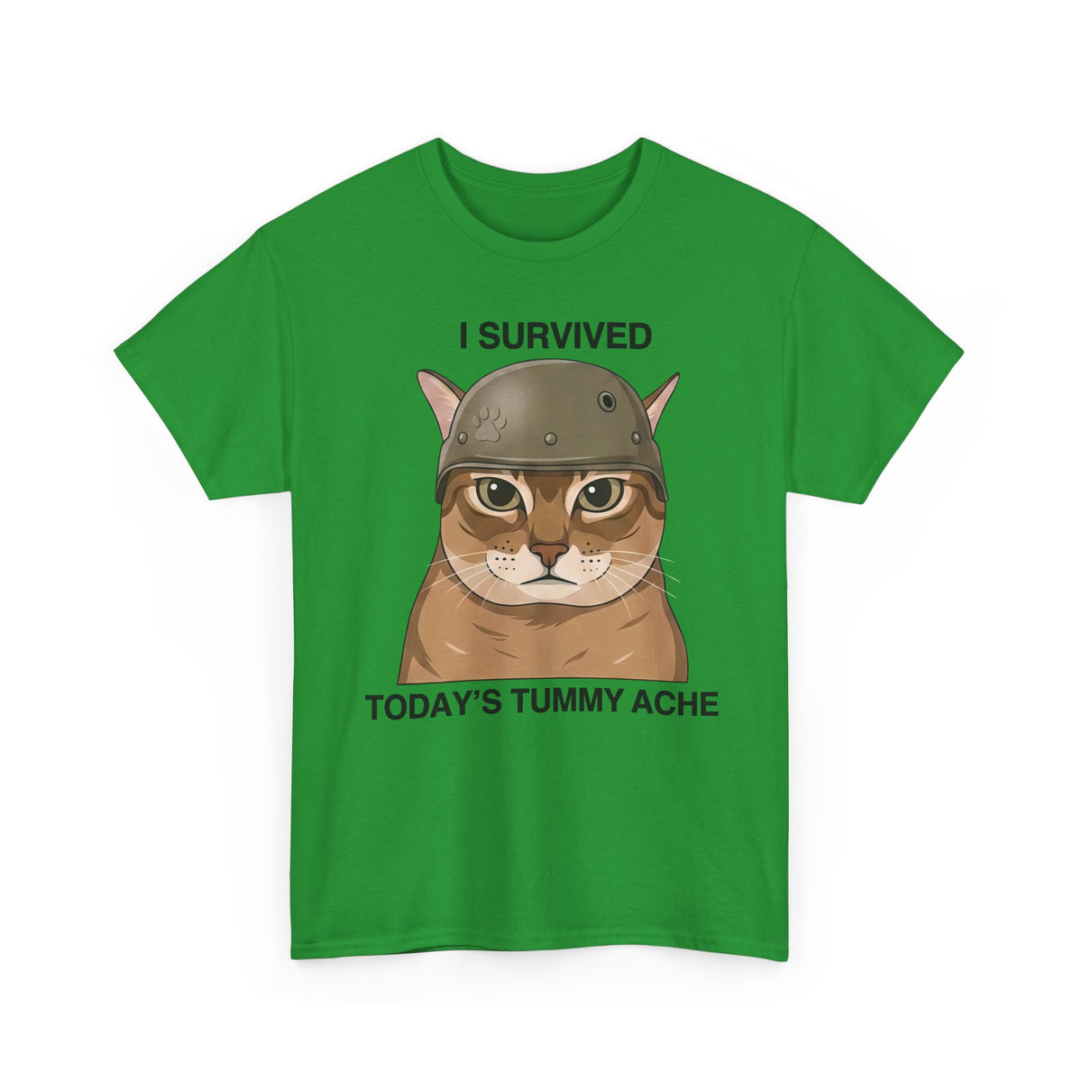 I Survived Today's Tummy Ache T-Shirt — Funny Novelty Tee for Moms, Kids & Caregivers