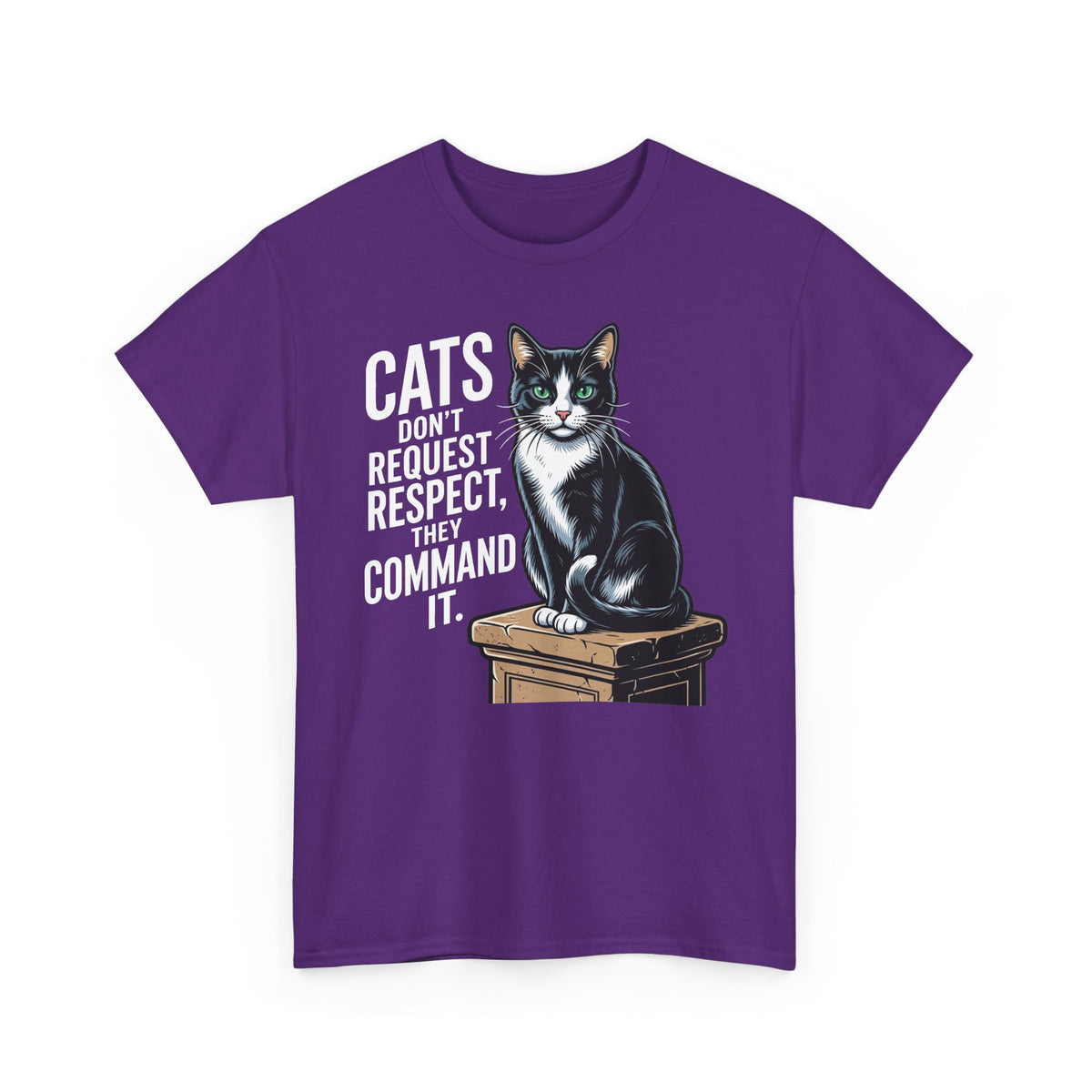 Cats Don’t Request Respect They Command It T‑Shirt — Vintage Black Cat Graphic Tee