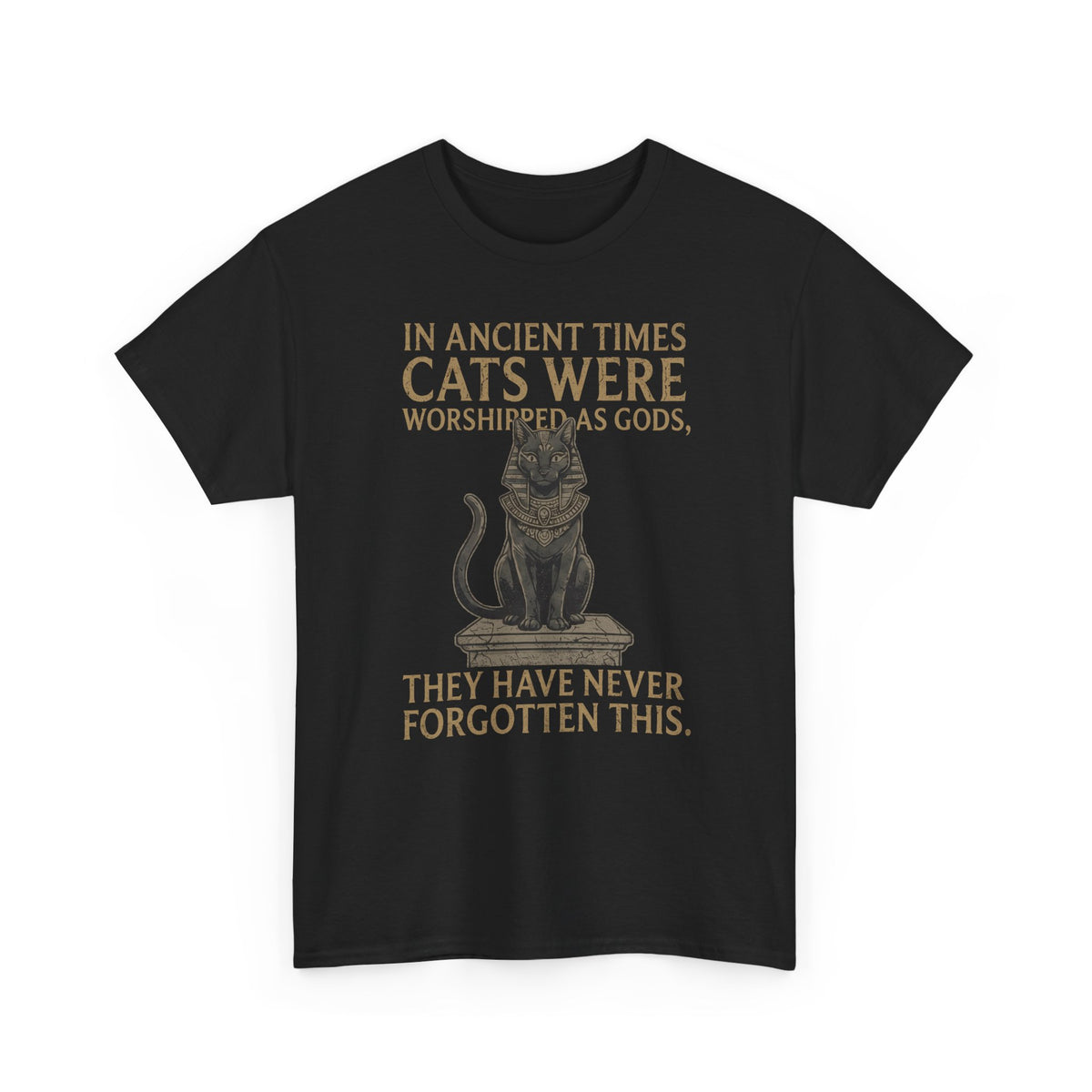 In Ancient Times Cats Were Worshipped Gods T-Shirt