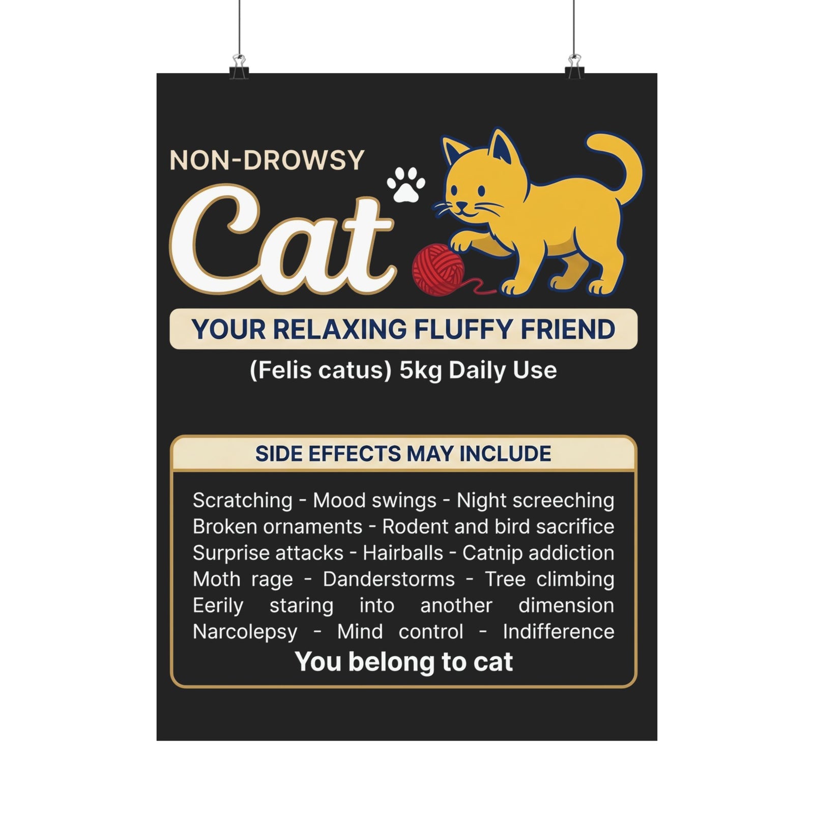 Non-Drowsy Cat Funny Prescription Graphic Poster