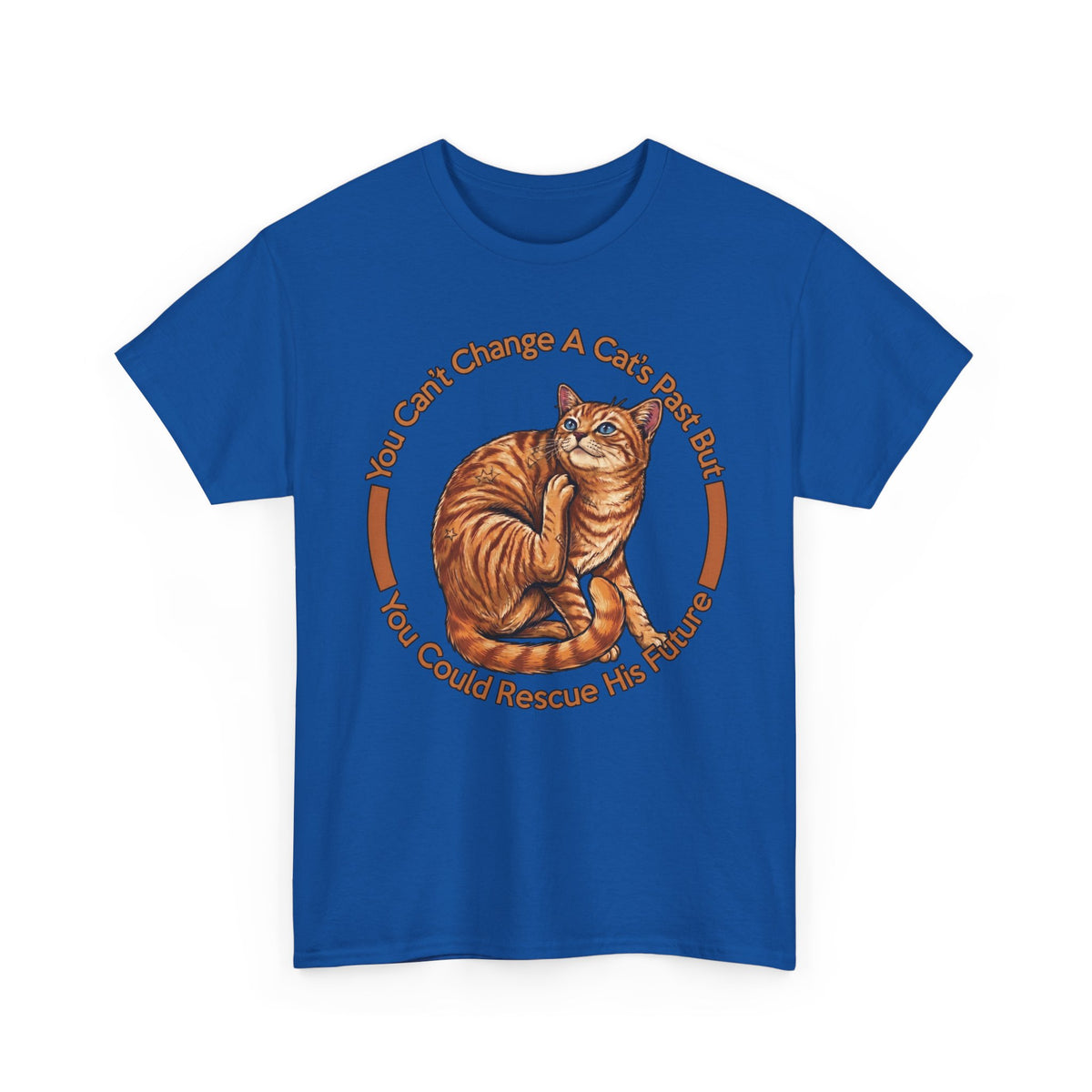 Rescue Cat T-Shirt — You Can't Change A Cat's Past Adoption Tee