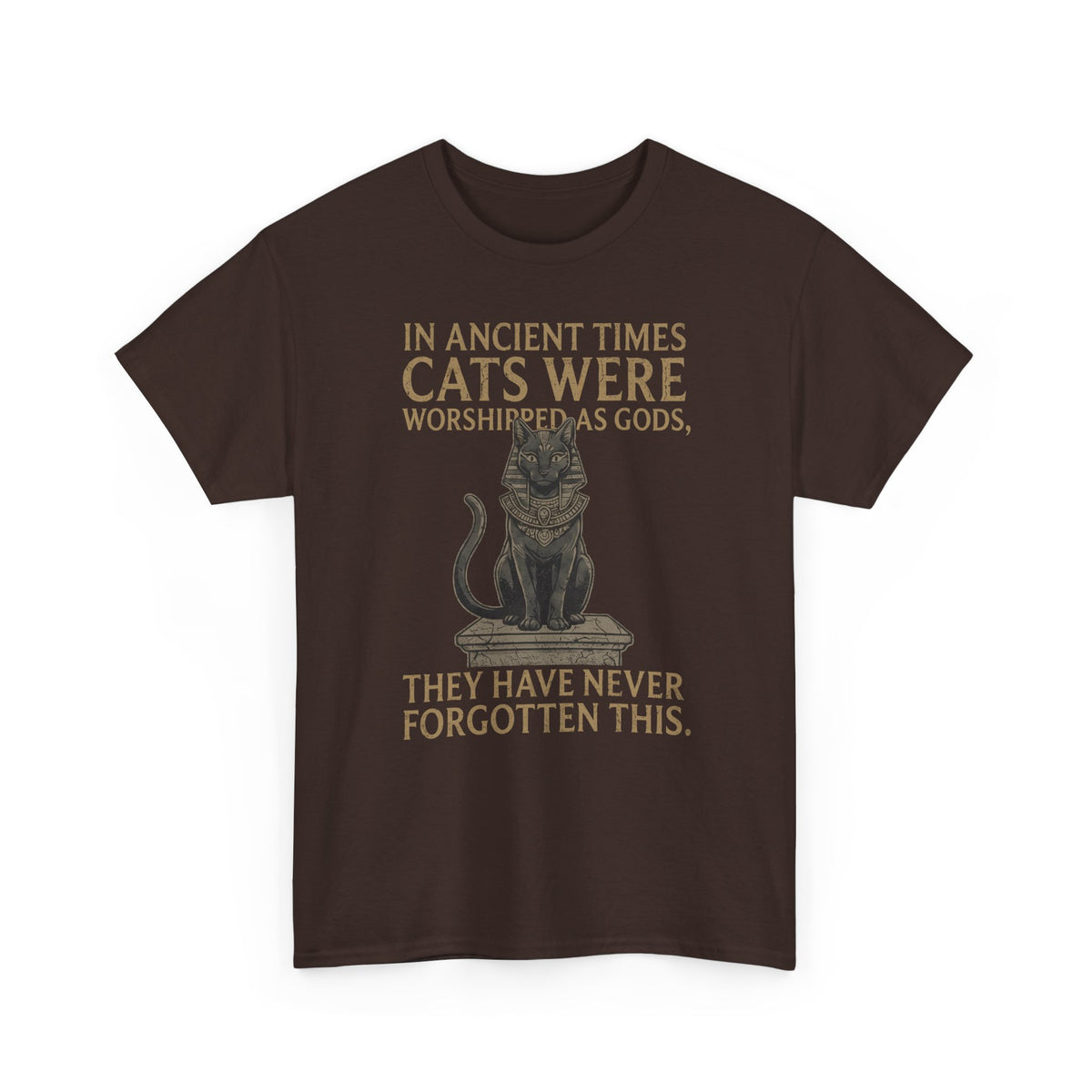 In Ancient Times Cats Were Worshipped Gods T-Shirt