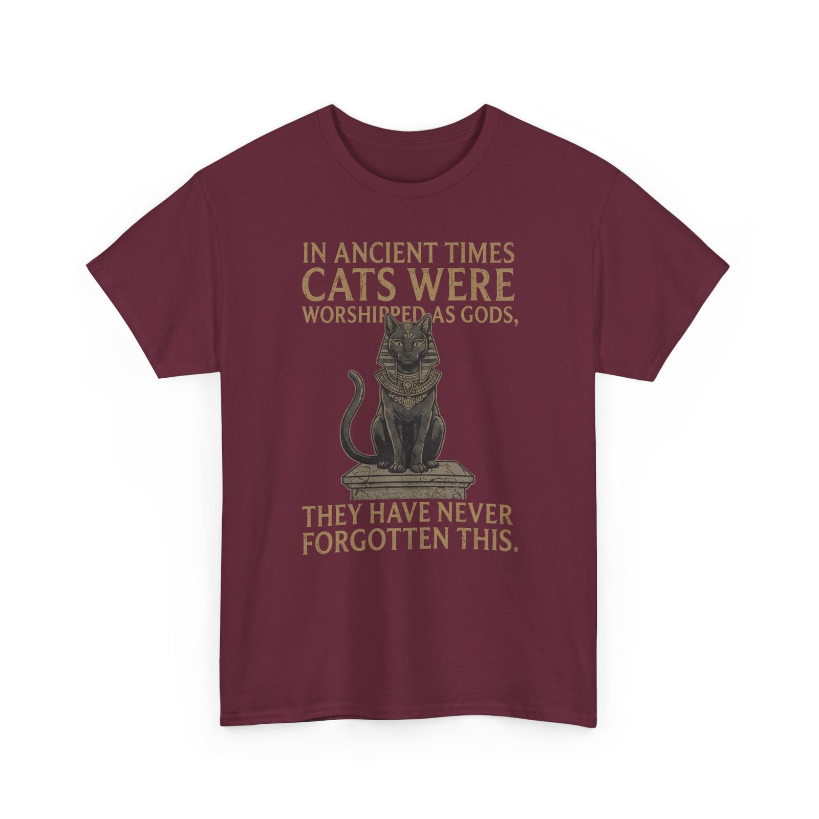 In Ancient Times Cats Were Worshipped Gods T-Shirt