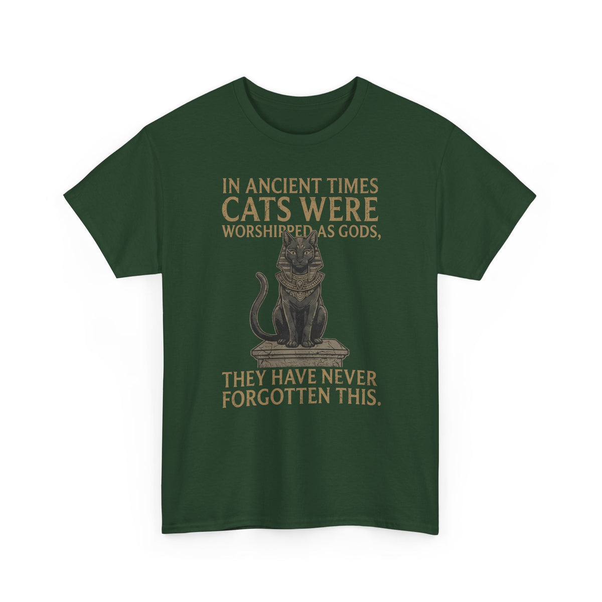 In Ancient Times Cats Were Worshipped Gods T-Shirt
