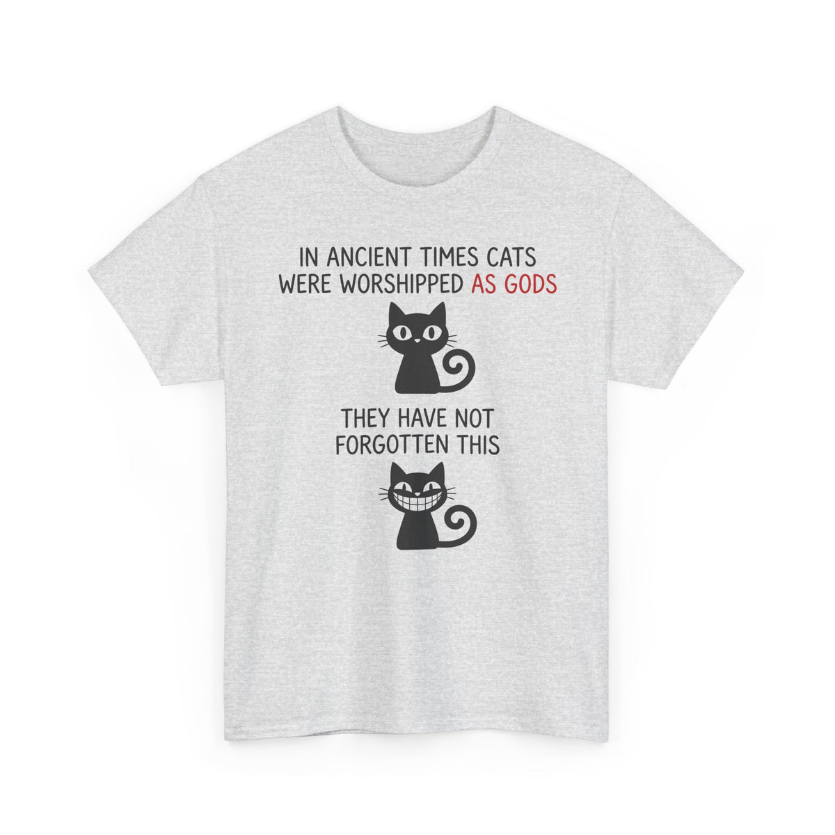 Cat Gods T-Shirt — "In Ancient Times Cats Were Worshipped As Gods" Funny Cat Tee