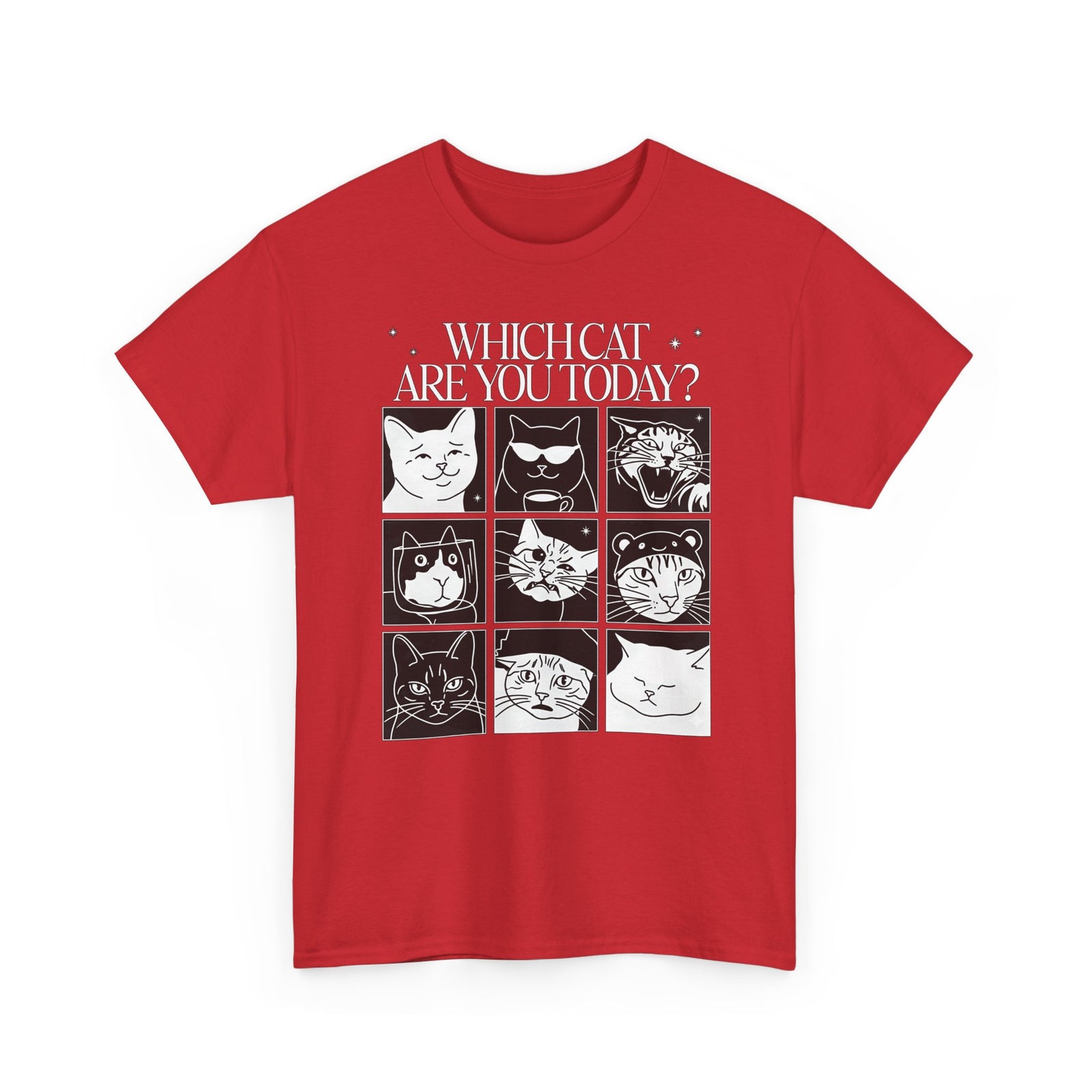 Which Cat You Choose Today T-Shirt — Playful Cat Lover Graphic Tee