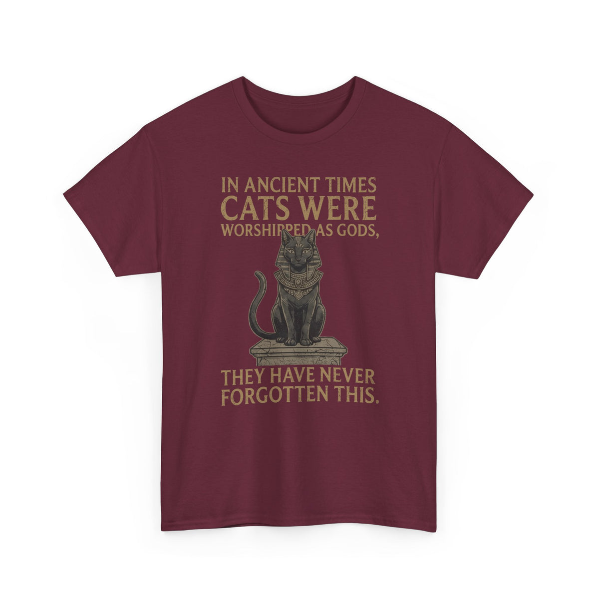 In Ancient Times Cats Were Worshipped Gods T-Shirt