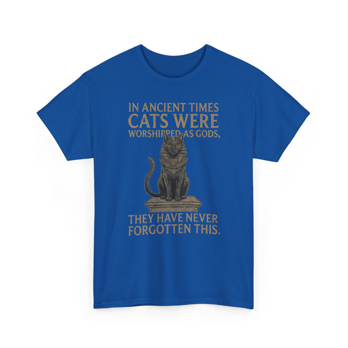 In Ancient Times Cats Were Worshipped Gods T-Shirt