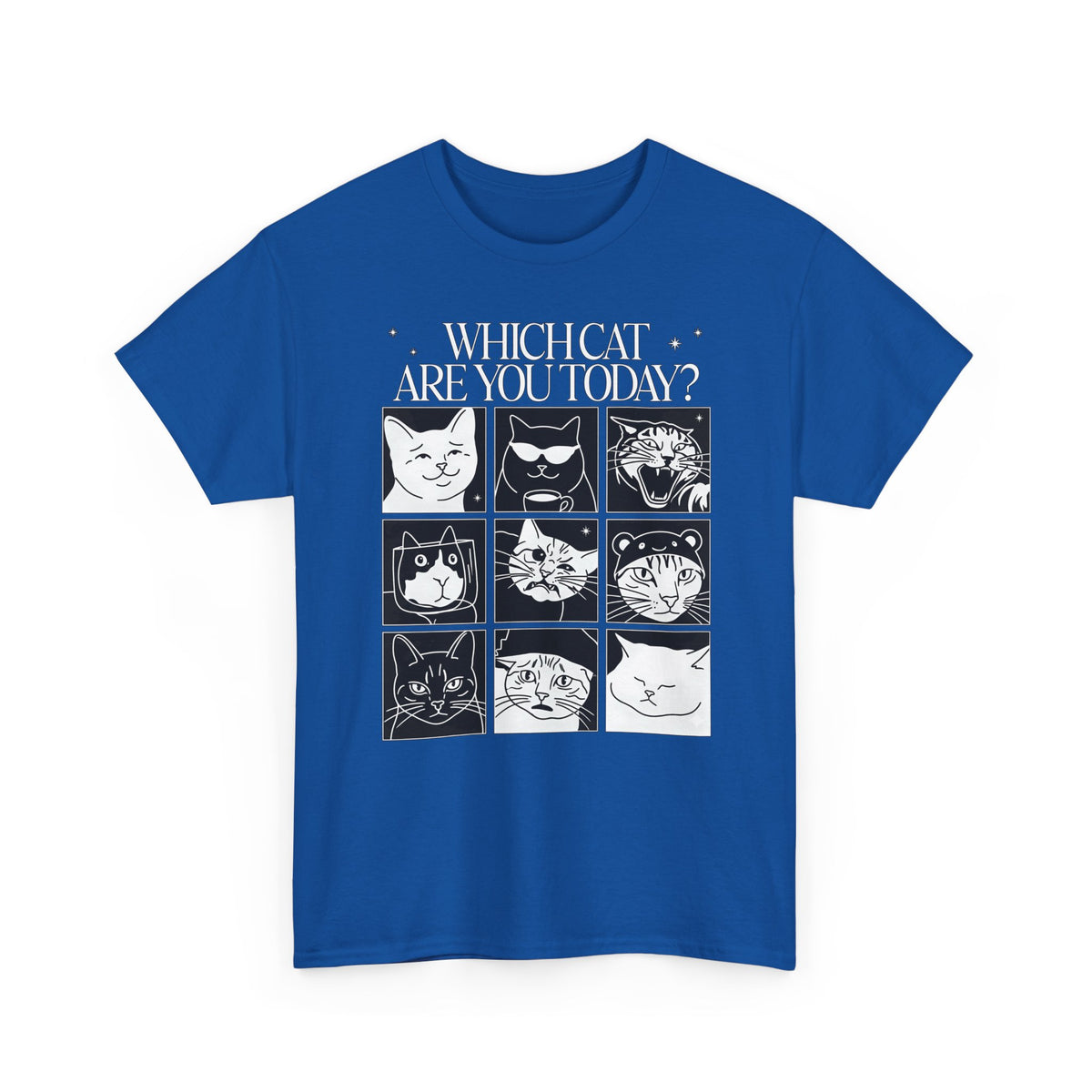 Which Cat You Choose Today T-Shirt — Playful Cat Lover Graphic Tee