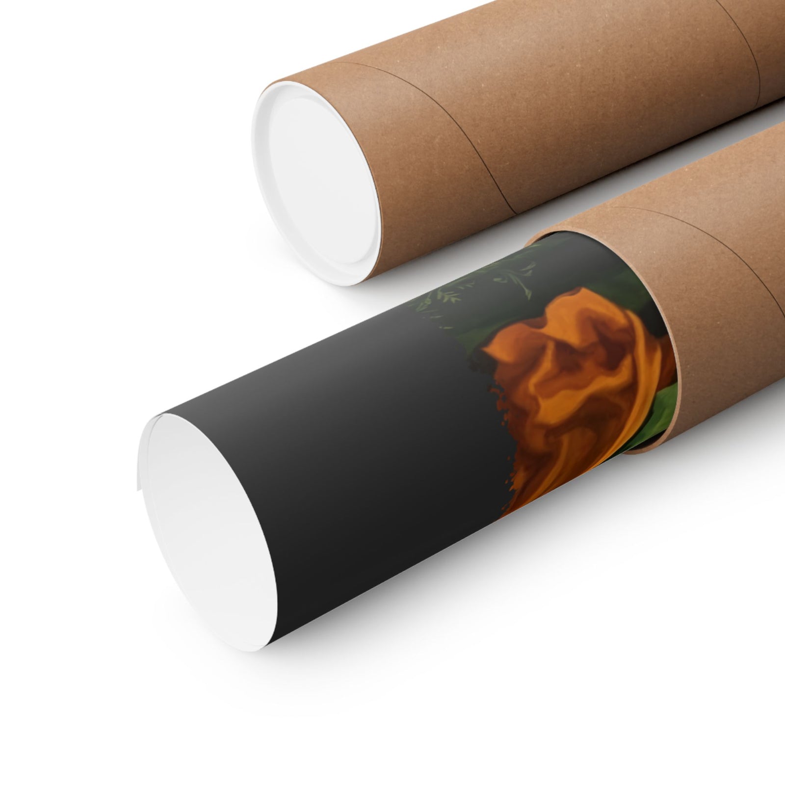 Transfiguration Cats Poster