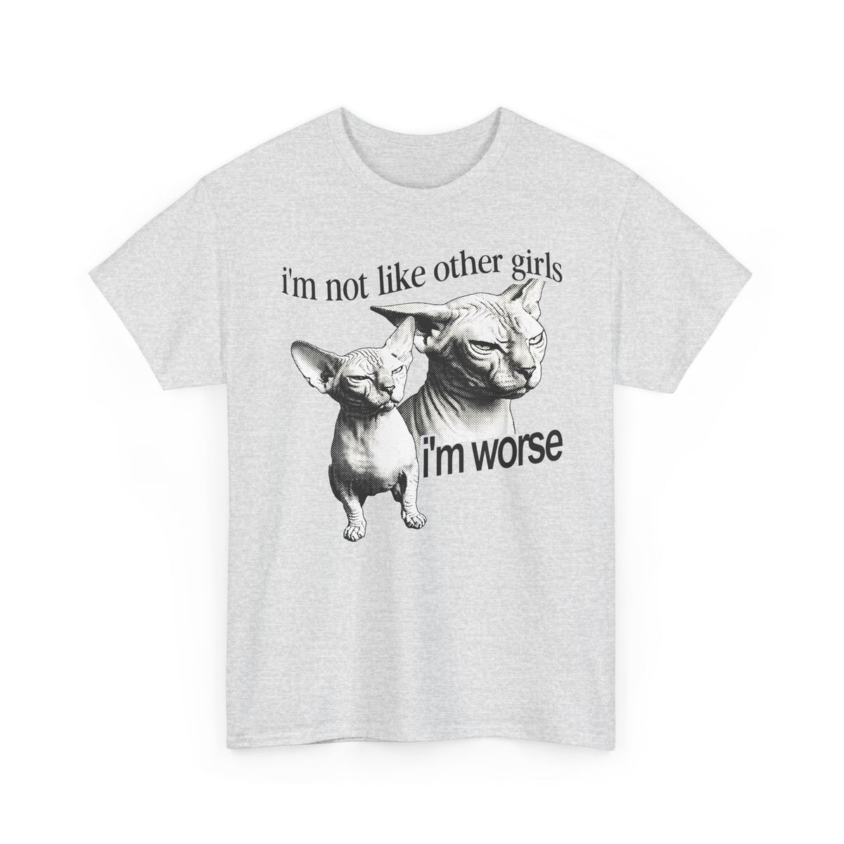 I'm Not Like Other Girls I'm Worse T-Shirt — Funny Sphynx Cat Tee