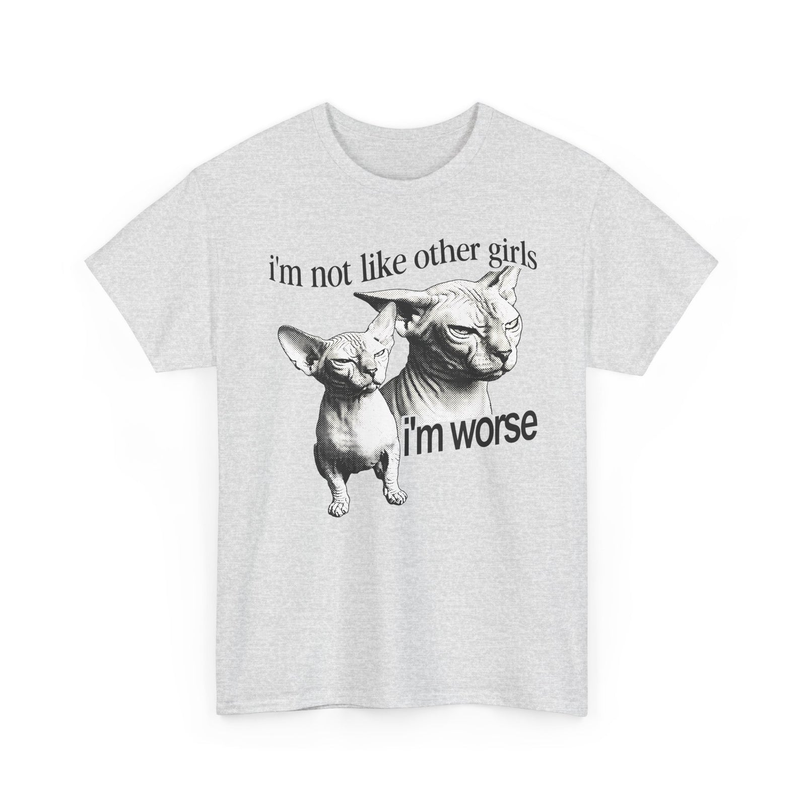 I'm Not Like Other Girls I'm Worse T-Shirt — Funny Sphynx Cat Tee