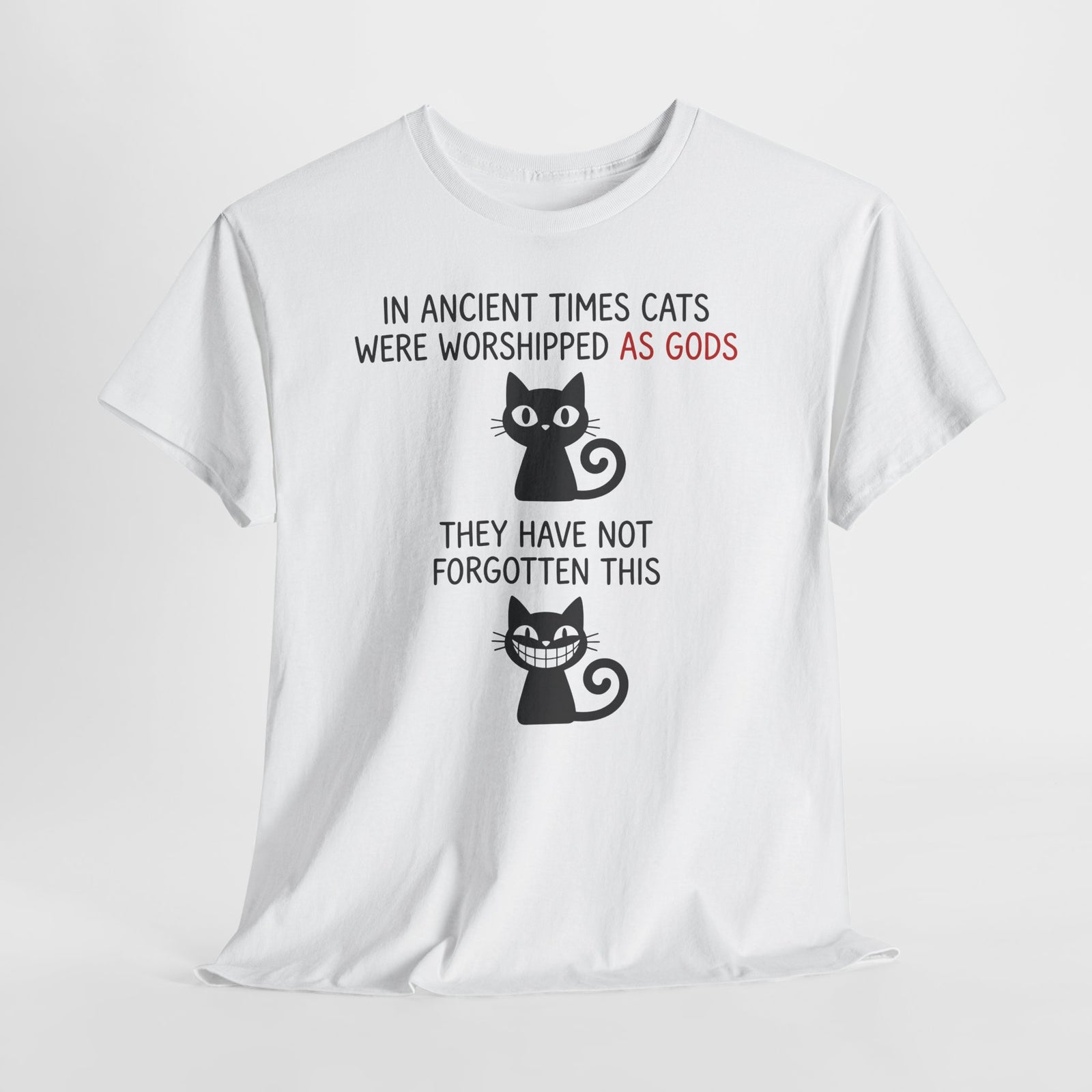 Cat Gods T-Shirt — "In Ancient Times Cats Were Worshipped As Gods" Funny Cat Tee