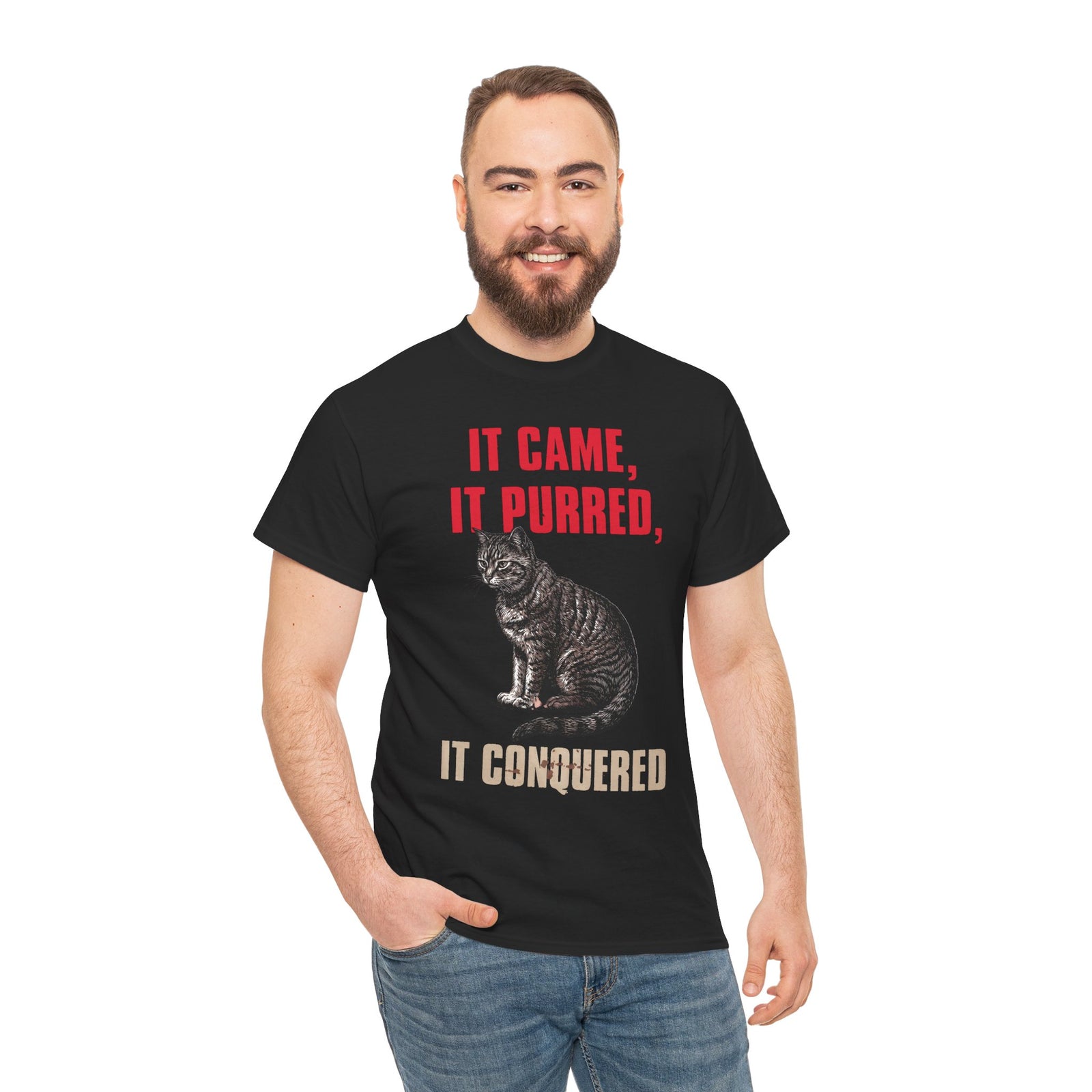 It Came It Purred It Conquered T-Shirt — Funny Julius Caesar Cat Parody Tee