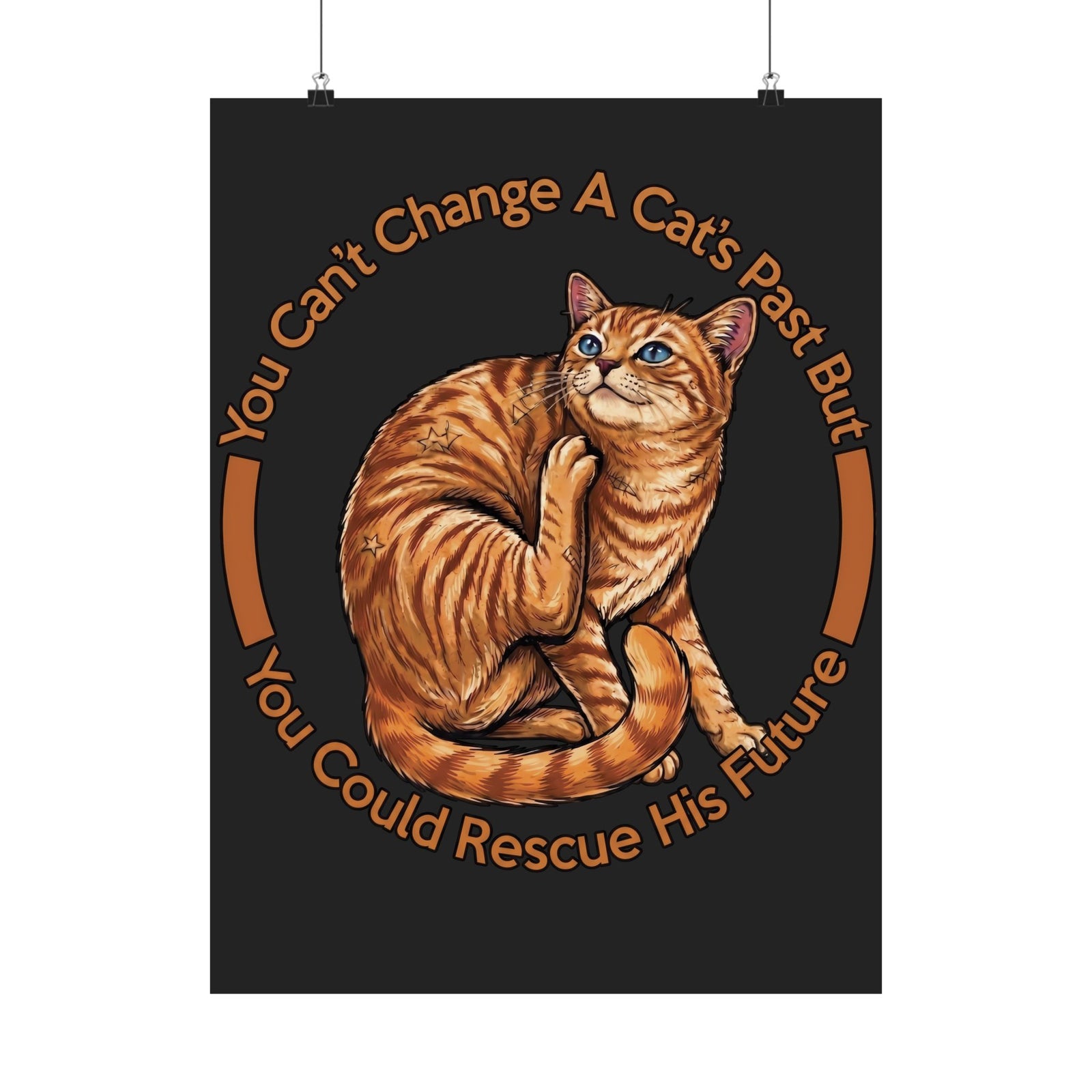 Rescue Cat Poster — You Can't Change A Cat's Past Adoption Poster