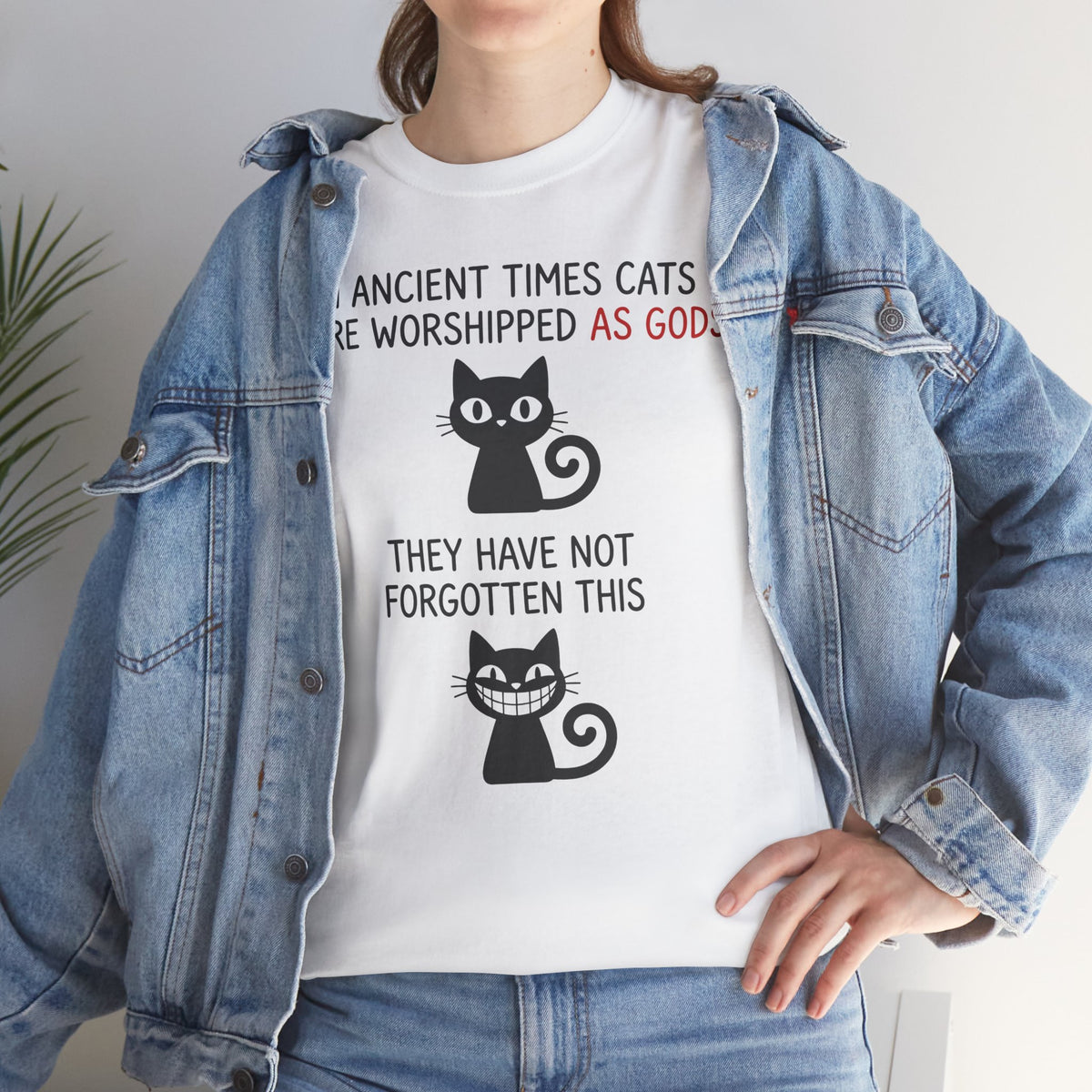 Cat Gods T-Shirt — "In Ancient Times Cats Were Worshipped As Gods" Funny Cat Tee
