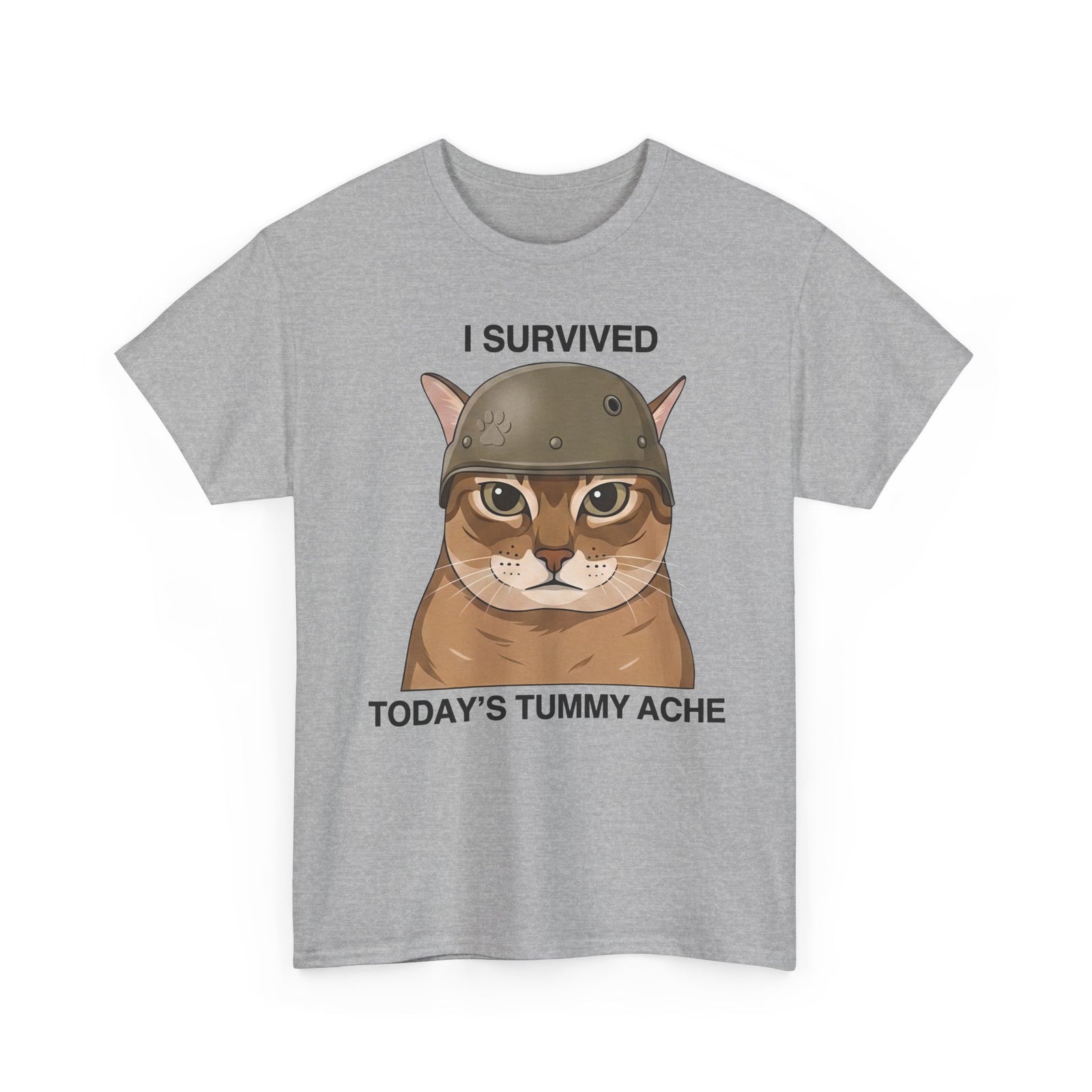 I Survived Today's Tummy Ache T-Shirt — Funny Novelty Tee for Moms, Kids & Caregivers