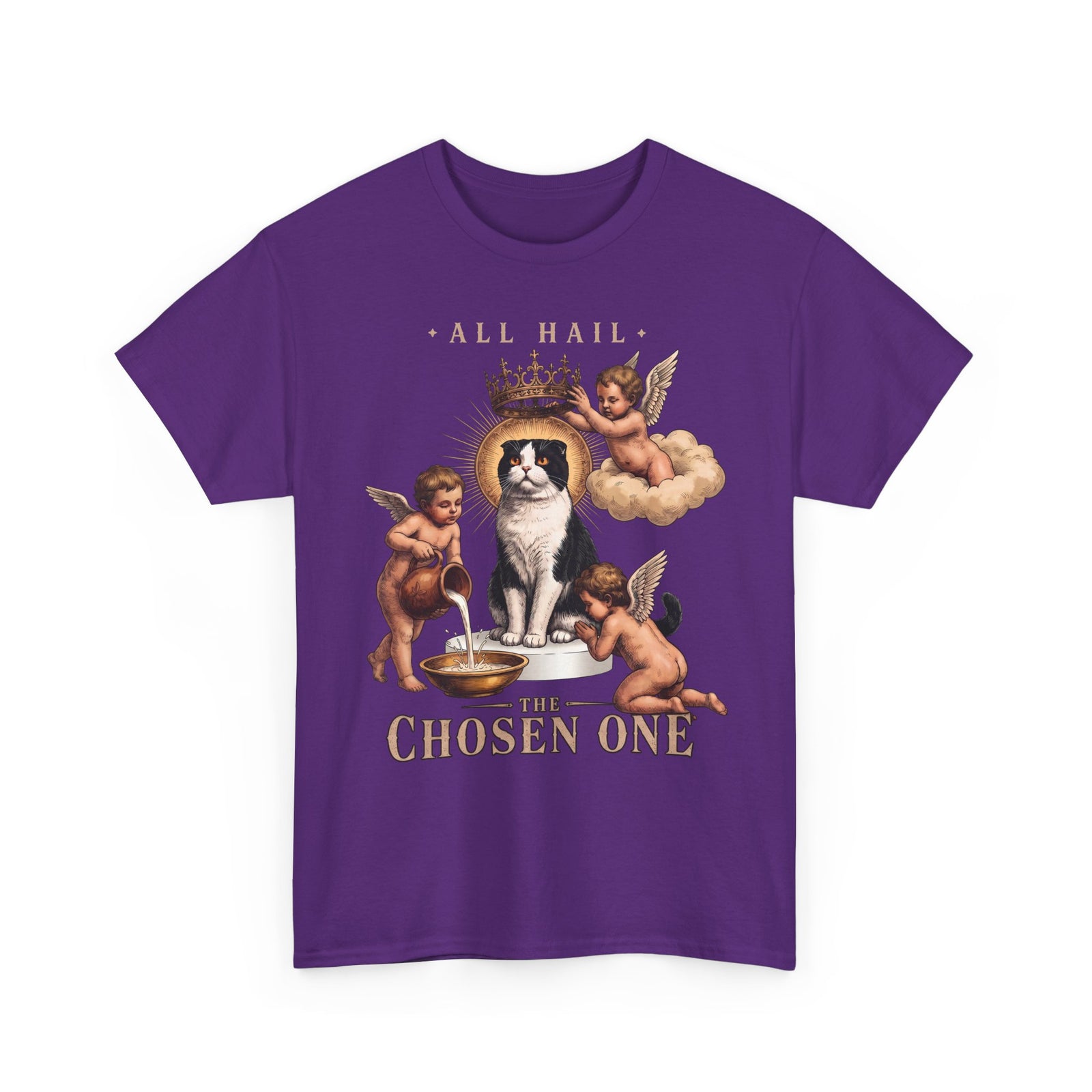 All Hail The Chosen One T-Shirt — Funny Tuxedo Cat Cherub Art Tee