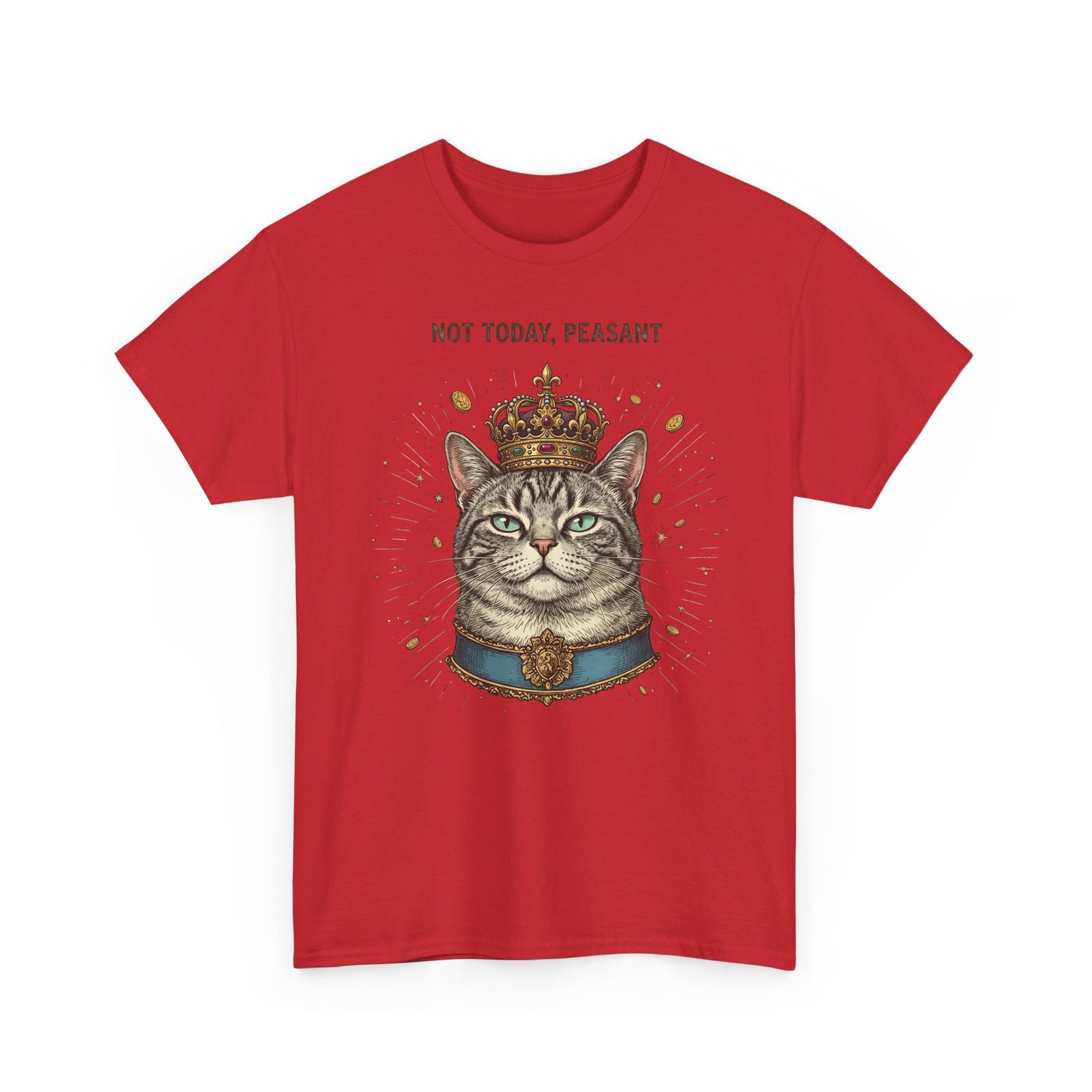 Funny Cat T-Shirt — "Not Today" Graphic Tee