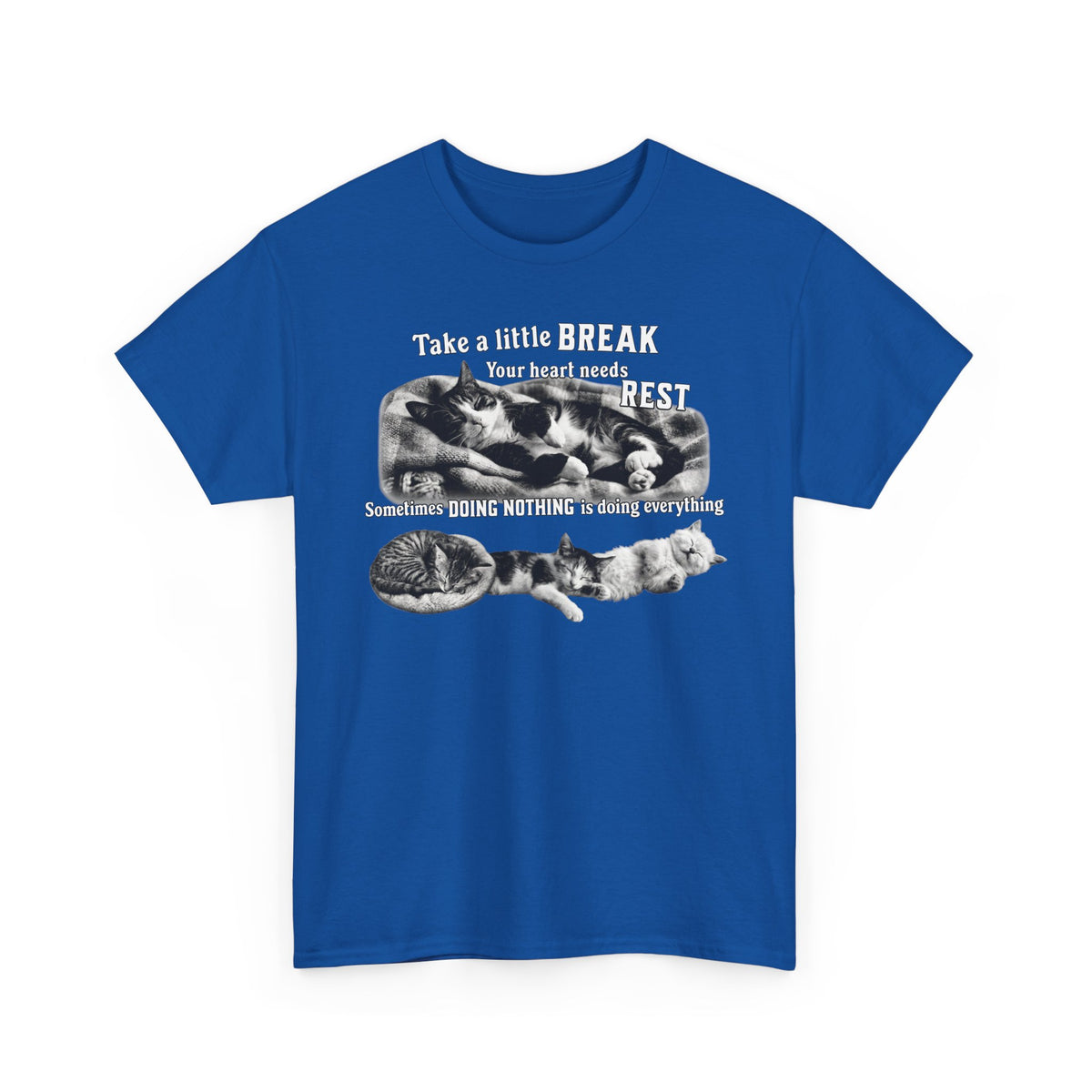 Sometimes Doing Nothing Is Doing Everything Cat Tee — Take A Little Break Shirt