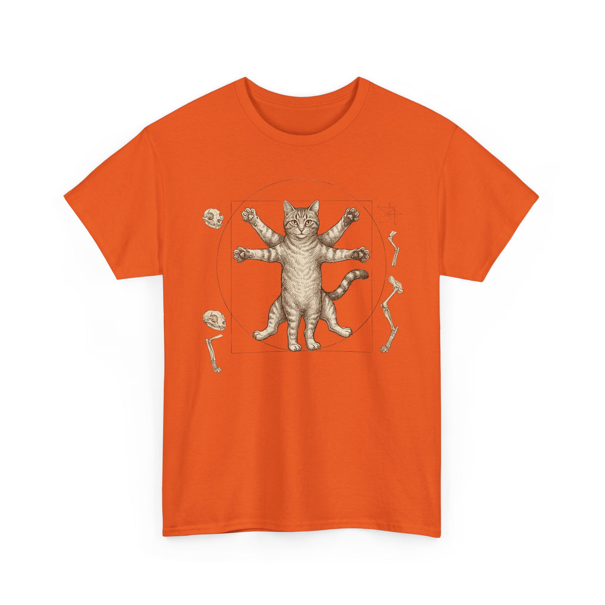 Vitruvian Cat T-Shirt — Anatomical Cat Art Tee