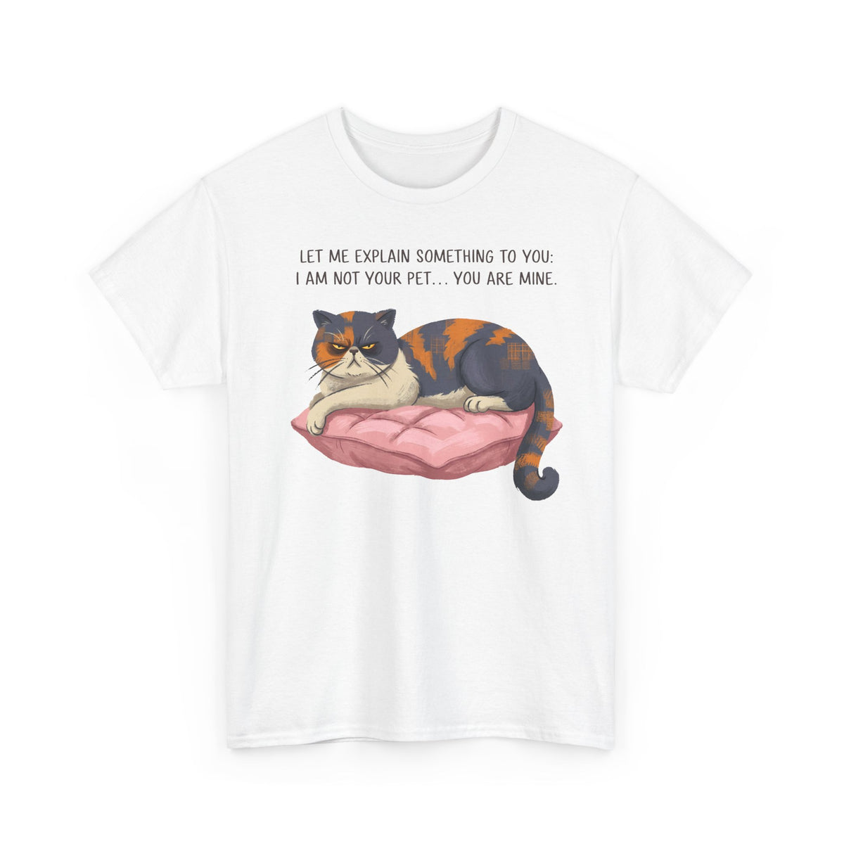 You Are Mine Cat T-Shirt — Grumpy Exotic Shorthair Calico Graphic Tee